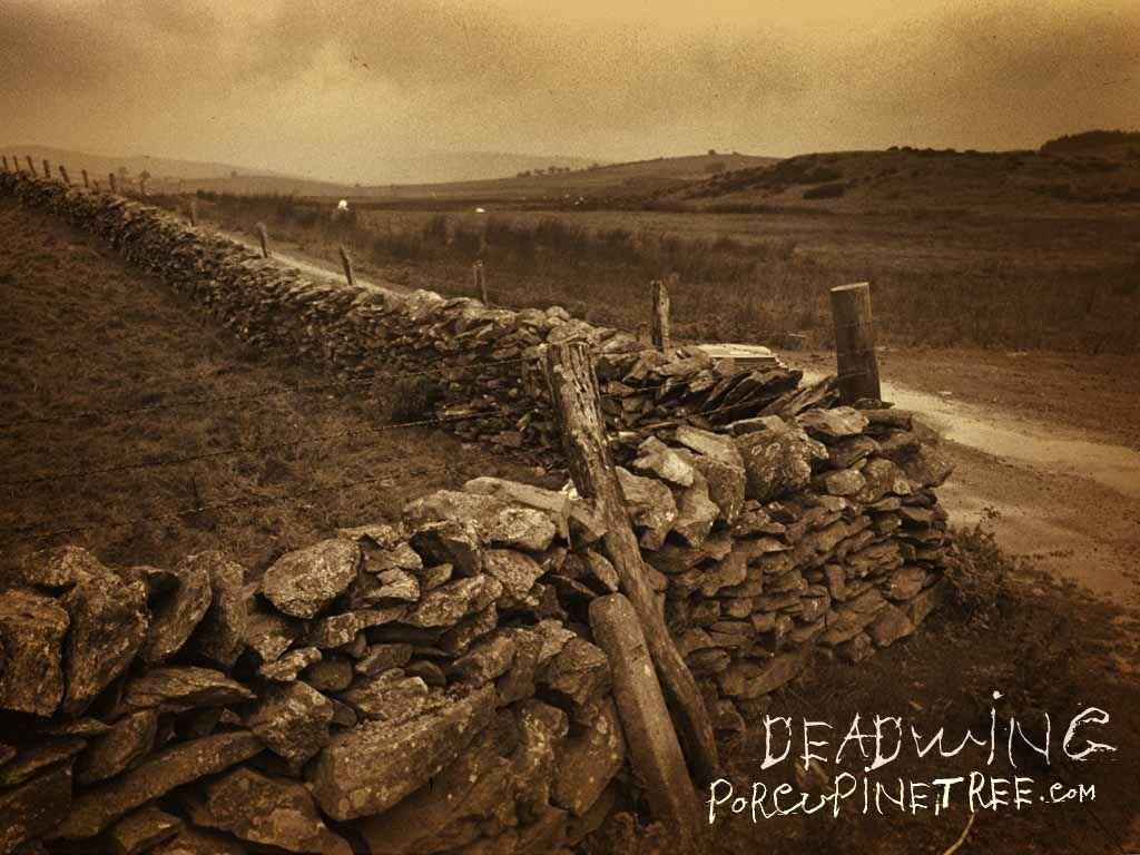1024x768 Free download Porcupine Tree Official Website [1024x768] for your Desktop, Mobile & Tablet. Explore Porcupine Tree Wallpaper. Porcupine Tree Wallpaper, Wallpaper Tree, Tree Wallpaper