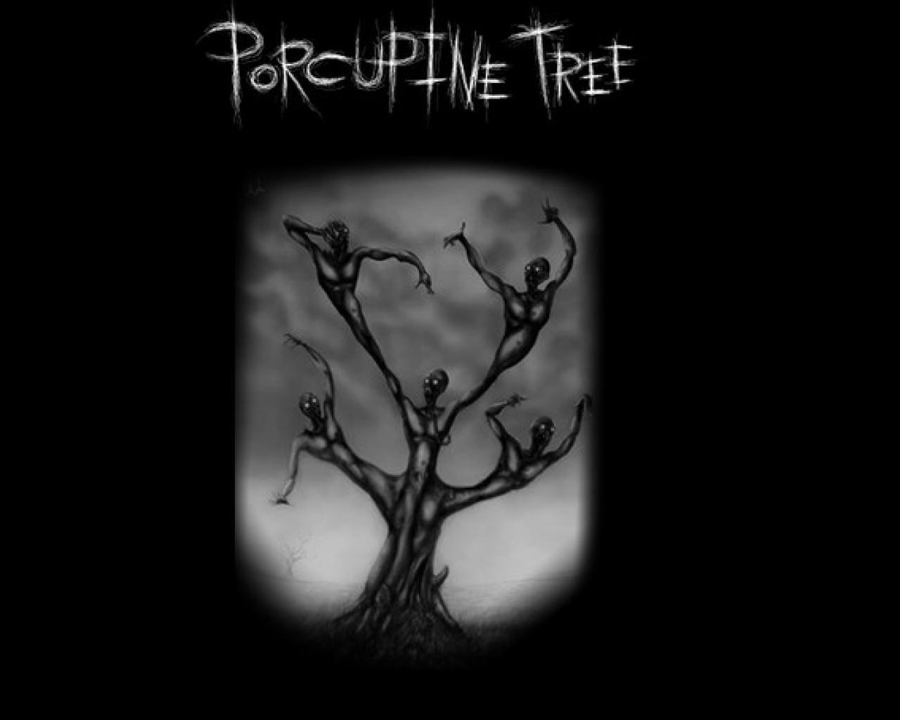 1280x1024 Download Wallpaper Porcupine Tree Tree, Download Wallpaper
