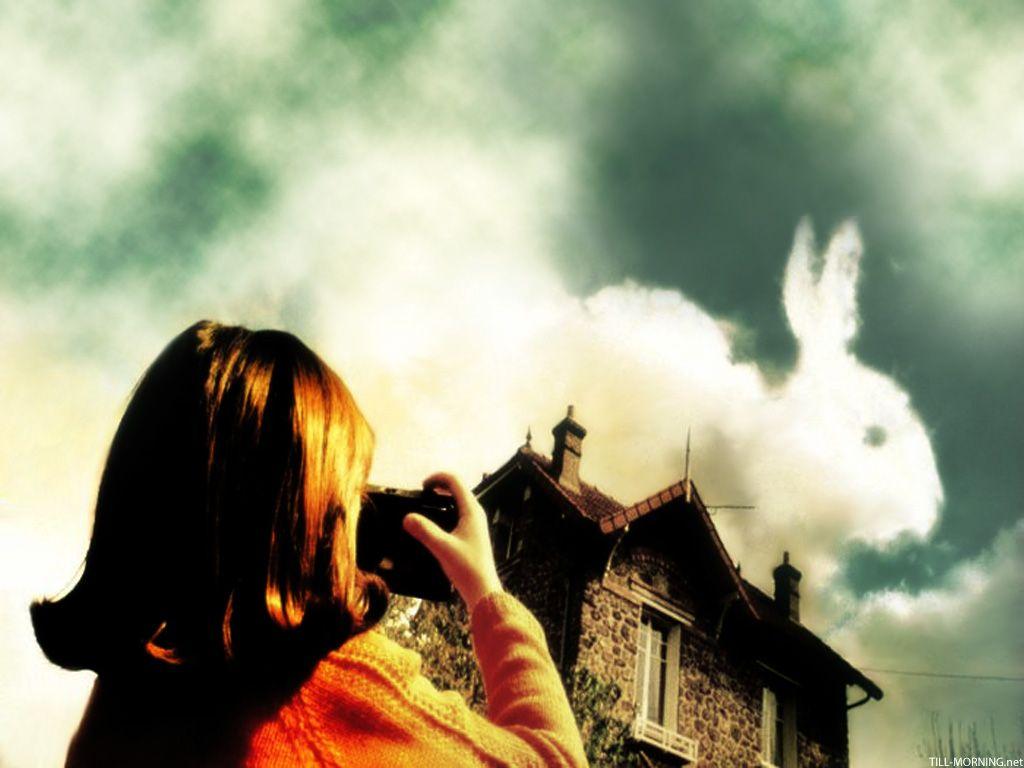 1024x768 image about Amelie. See more about amelie, movie and amelie poulain