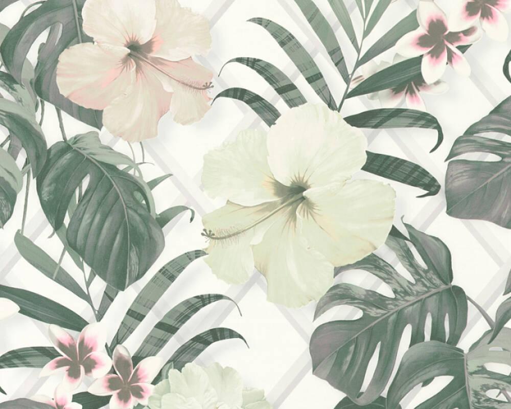 Grey Green Wallpapers - Top Free Grey Green Backgrounds - WallpaperAccess
