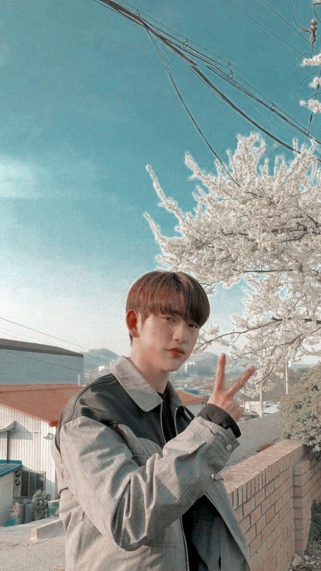 1080x1920 jinyoung wallpaper Tumblr posts