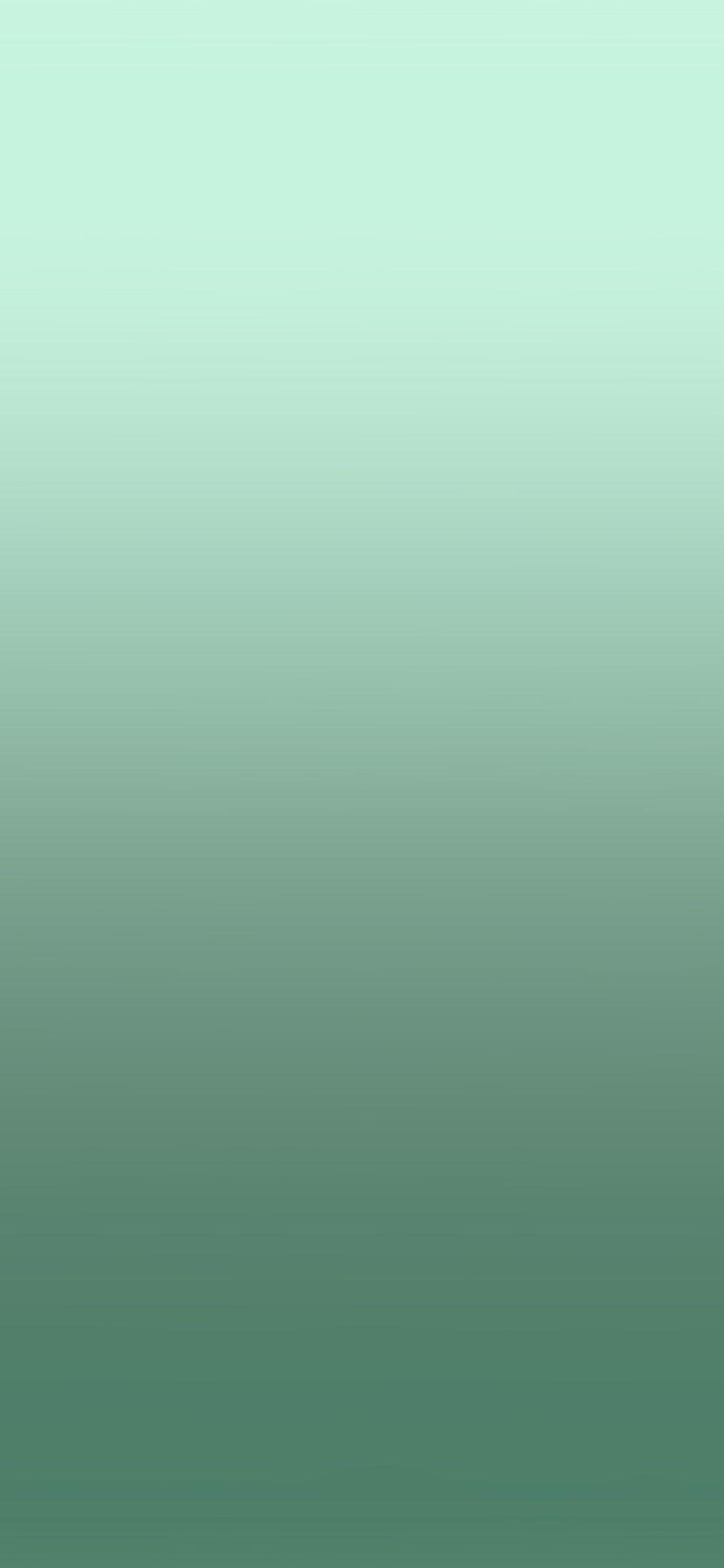 Grey Green Wallpapers - Top Free Grey Green Backgrounds - WallpaperAccess