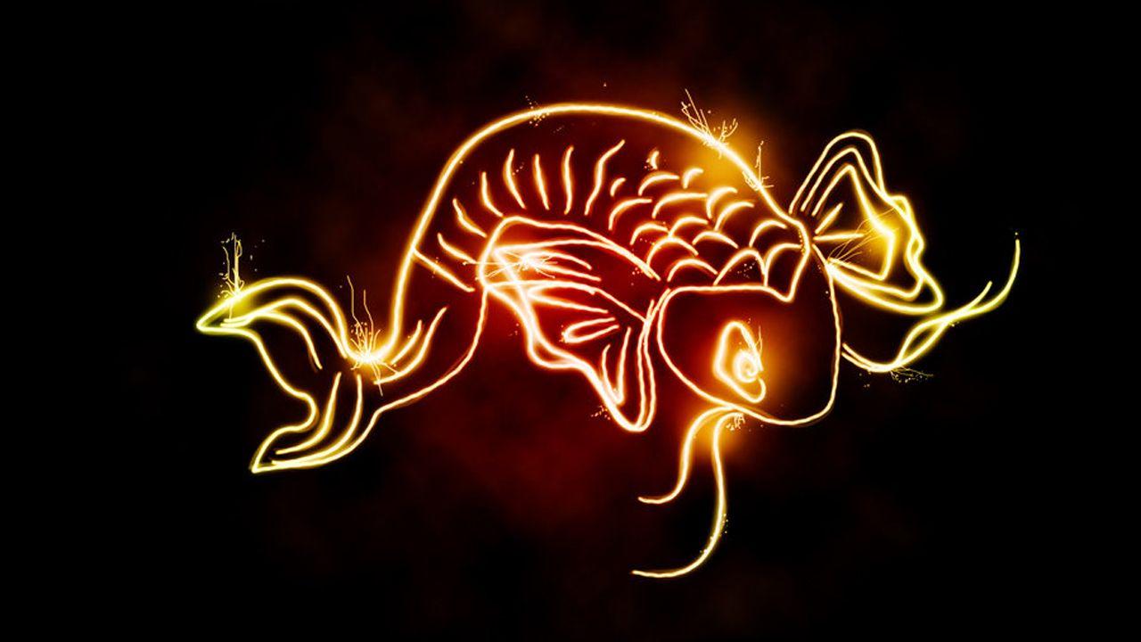 1280x720 Koi Fish Light Shine Art