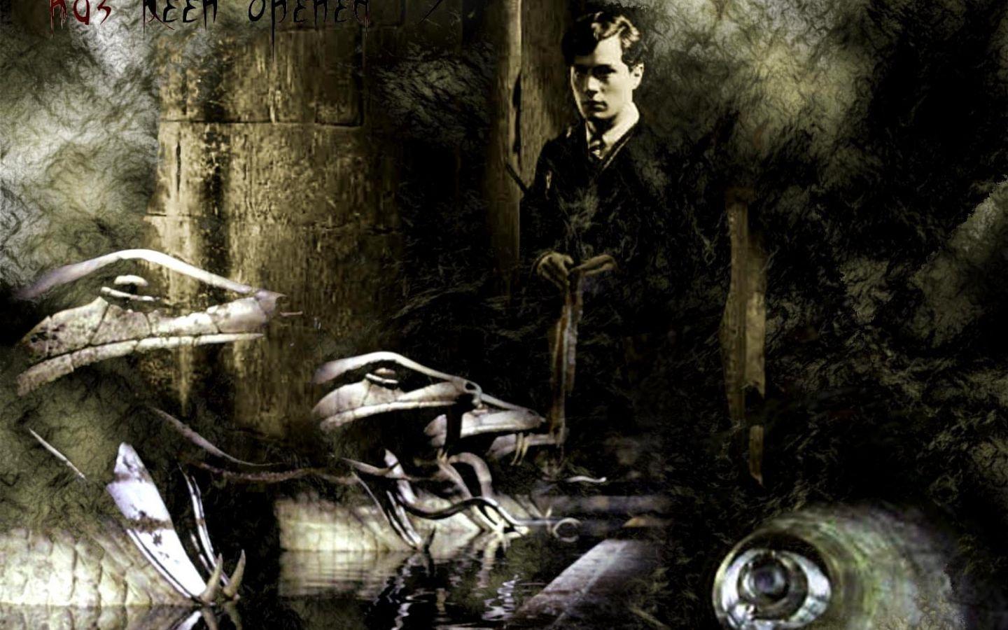 1440x900 Free download Tom Riddle chamber of secrets by stefanieg [1500x1200] for your Desktop, Mobile & Tablet. Explore Chamber of Secrets Wallpaper. Chamber of Secrets Wallpaper, Elimination Chamber Wallpaper, Elimination Chamber 2020 Wallpaper