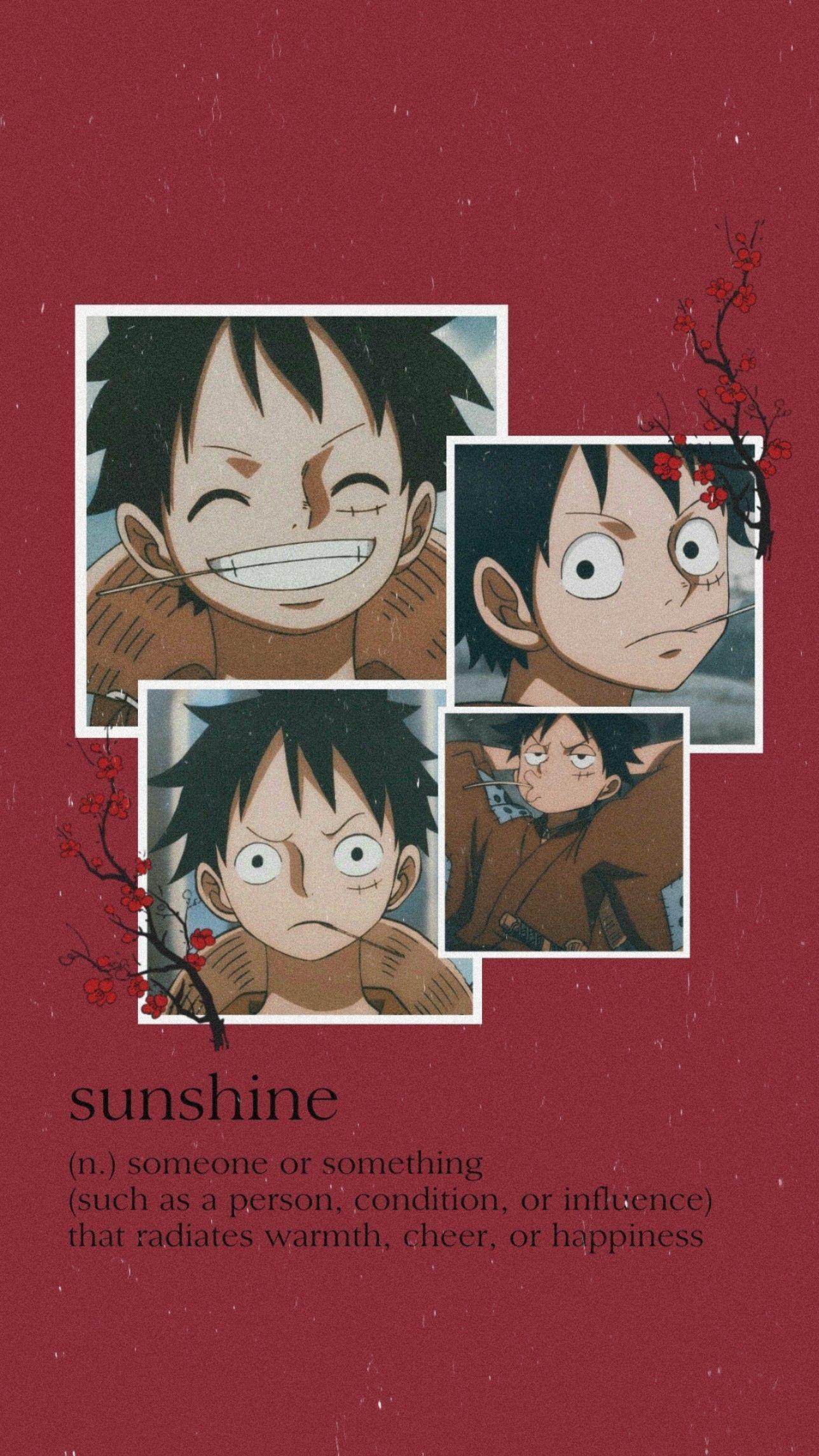 Aesthetic Anime Pfp Luffy - Aesthetic Anime Wallpapers One Piece Anime