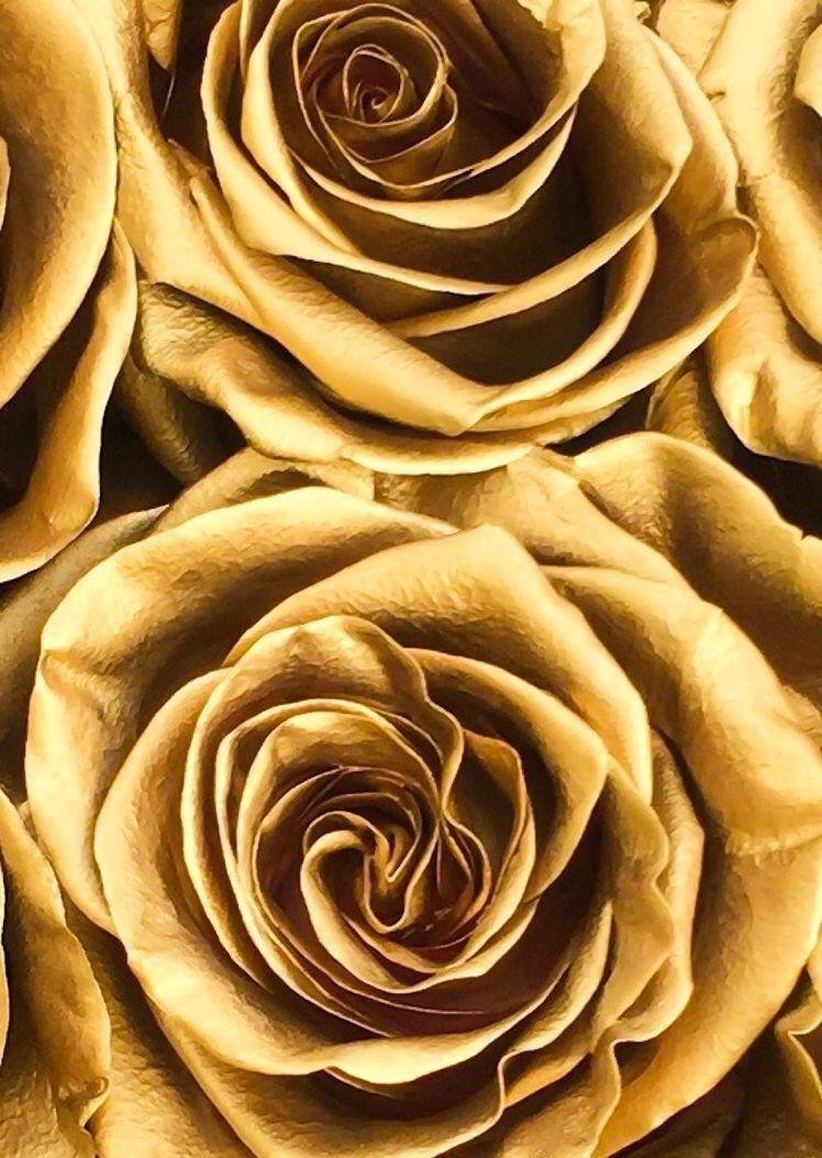 748x1054 Bronze. Gold aesthetic, Gold everything, Gold wallpaper