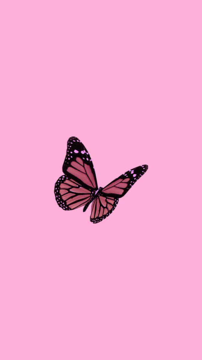 675x1199 Aesthetic Rose Gold Aesthetic Tumblr iPhone Rose Gold Butterfly Wallpaper#aesthetic #butterfly #gold