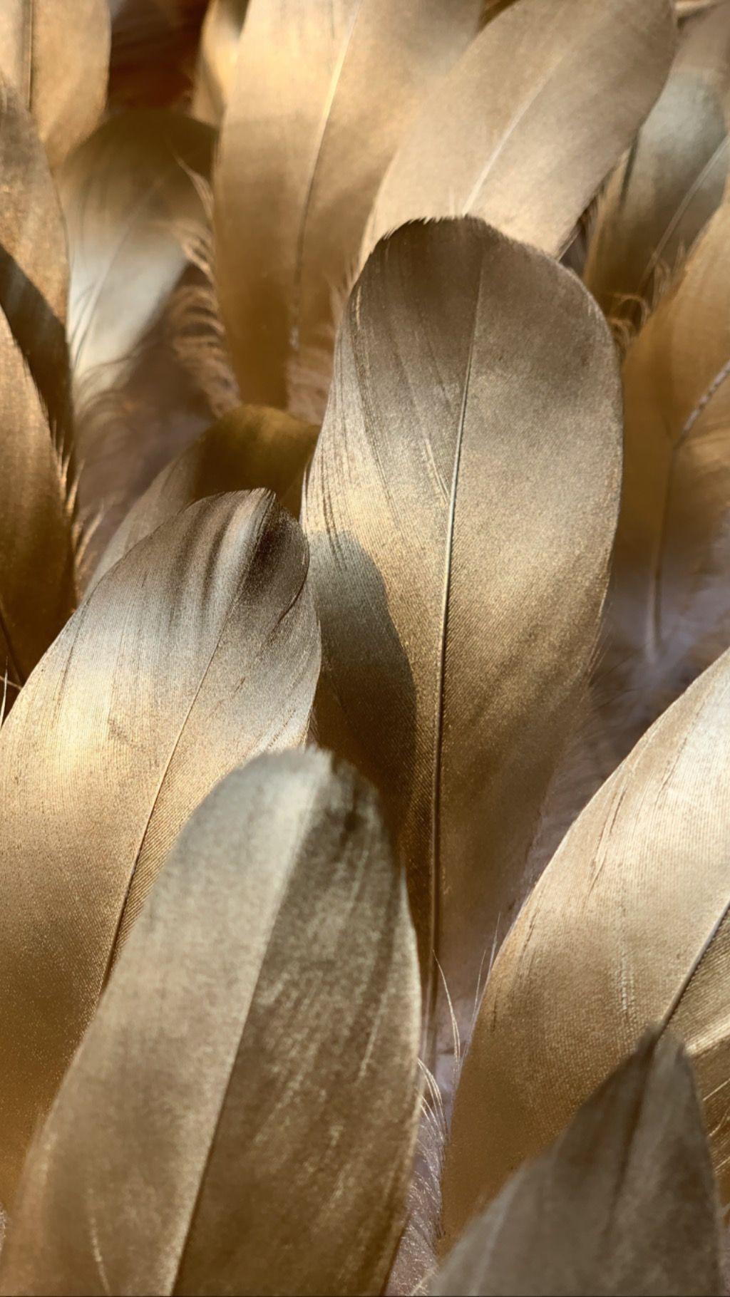 Golden Aesthetic Wallpapers Top Free Golden Aesthetic Backgrounds