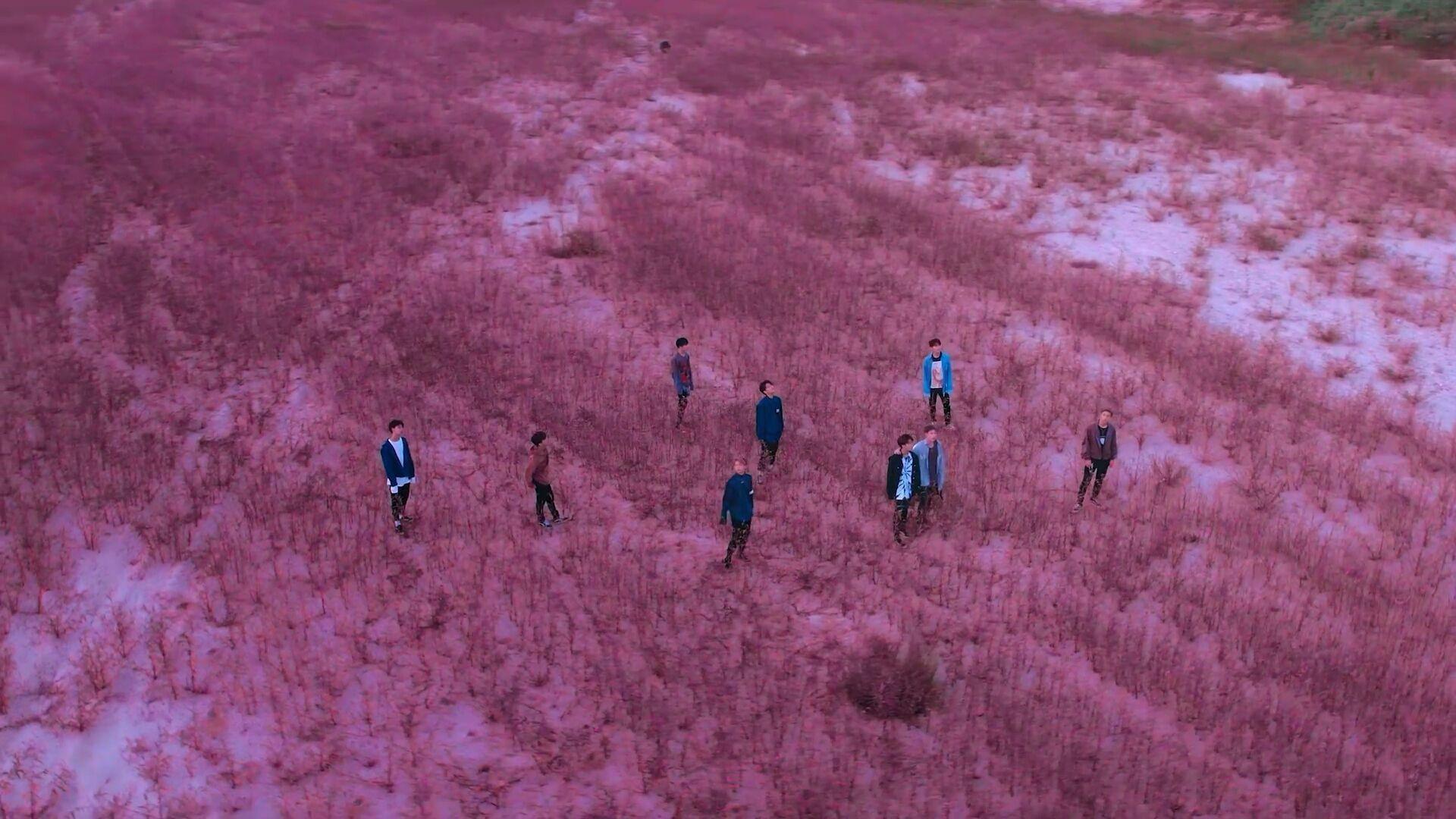 1920x1080 STRAY KIDS. Stray, Stray kids chan, Kids background