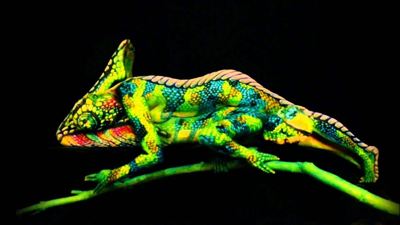 1280x720 The Chameleon Body Painting wallpaper. The Chameleon Body Painting