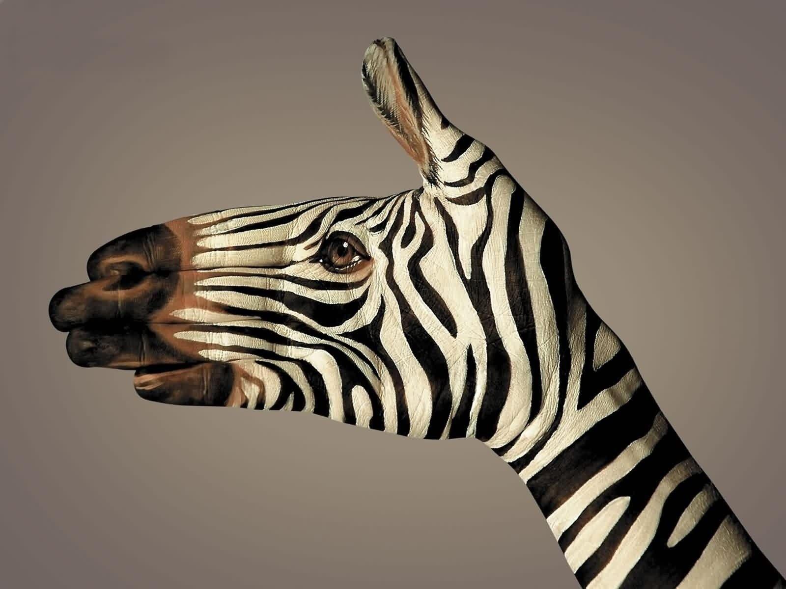 1600x1200 Download Wallpaper, Download 2560x1920 paint zebras body painting 1600x1200 wallpaper Animals HD Wallpaper, Hi Res Animals Wallpaper, High Definition Wallpaper