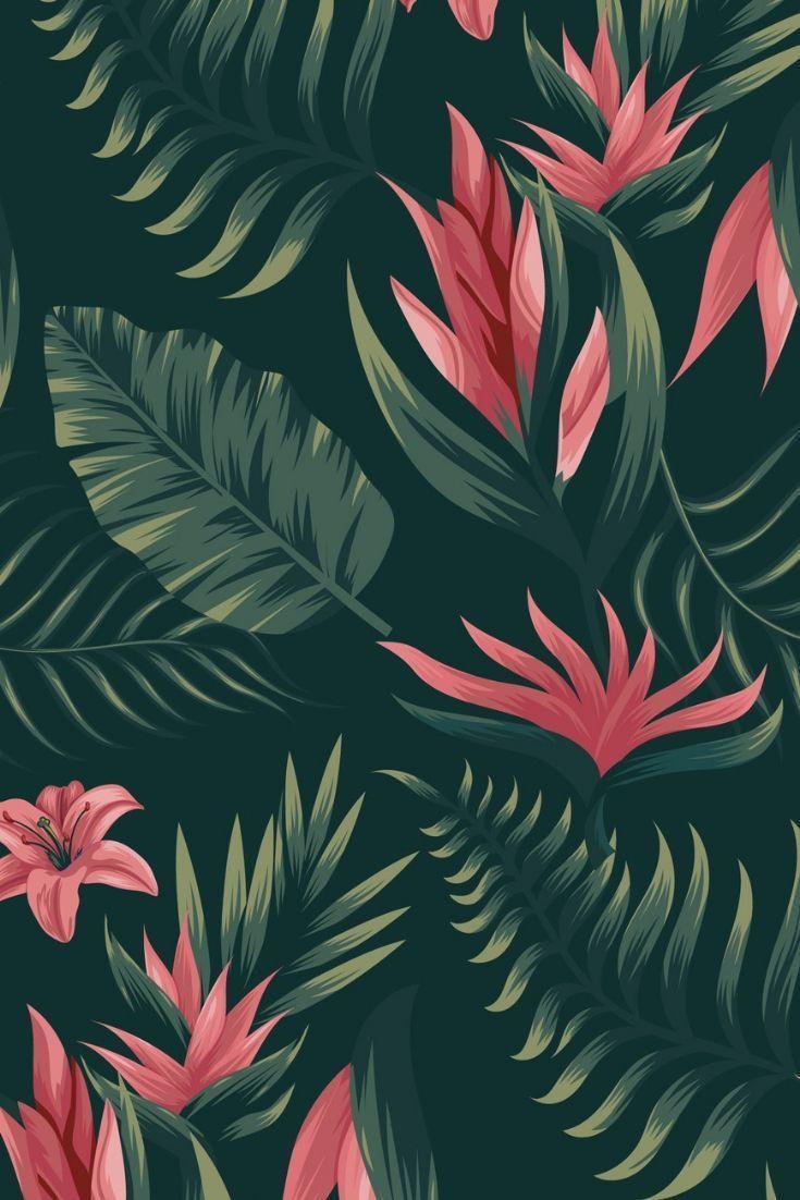 735x1102 K Hawaii Wallpaper For Desktop Image The Best K Hawaii Wallpaper For Desktop On Getwallpap. Tropical wallpaper, Background phone wallpaper, Wallpaper