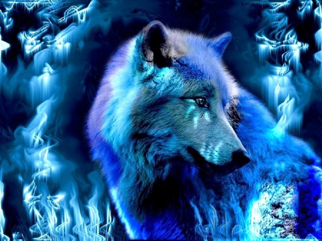 1125x843 Ice Wolf Wallpaper Inspirational Beyond Ice Wolf the Wolves Of Fire and Ice Role Play Wallpaper Fanpop This Year of The Hudson