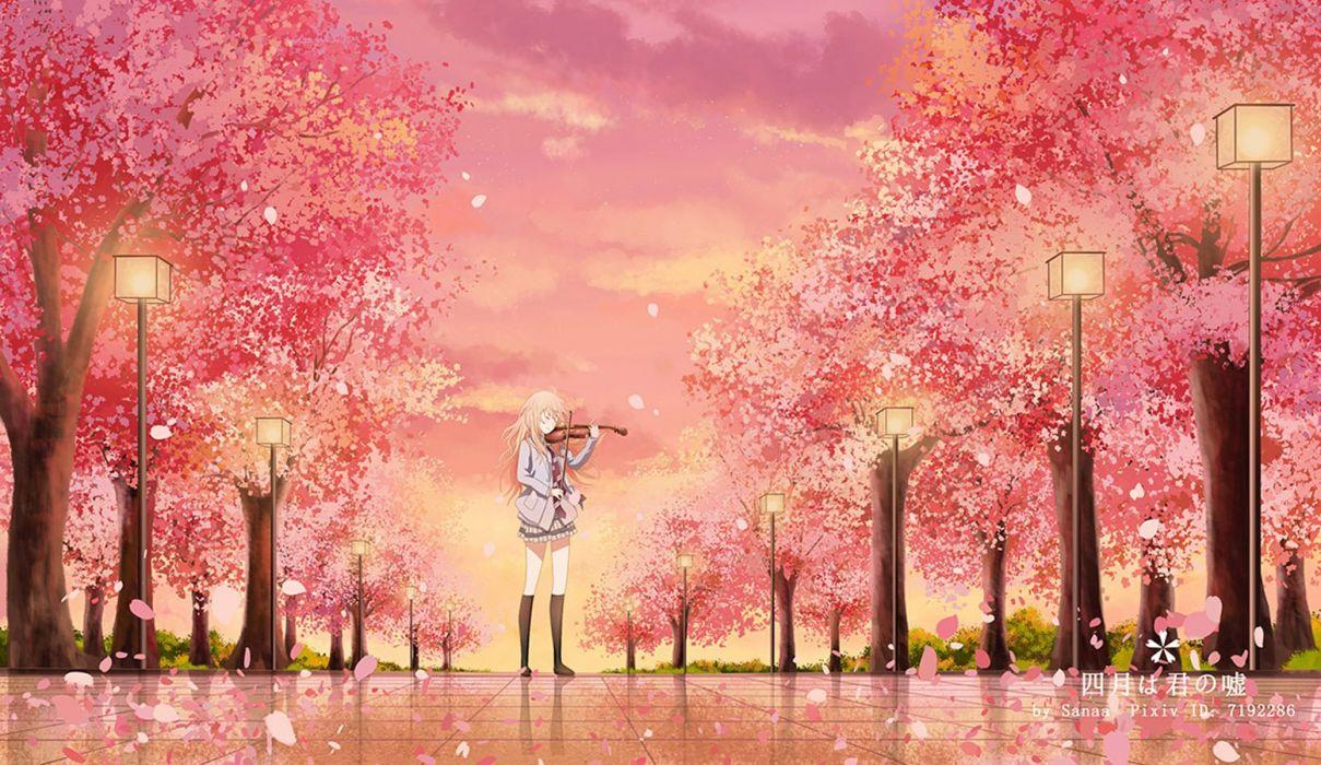 1209x700 Sakura Anime Wallpaper