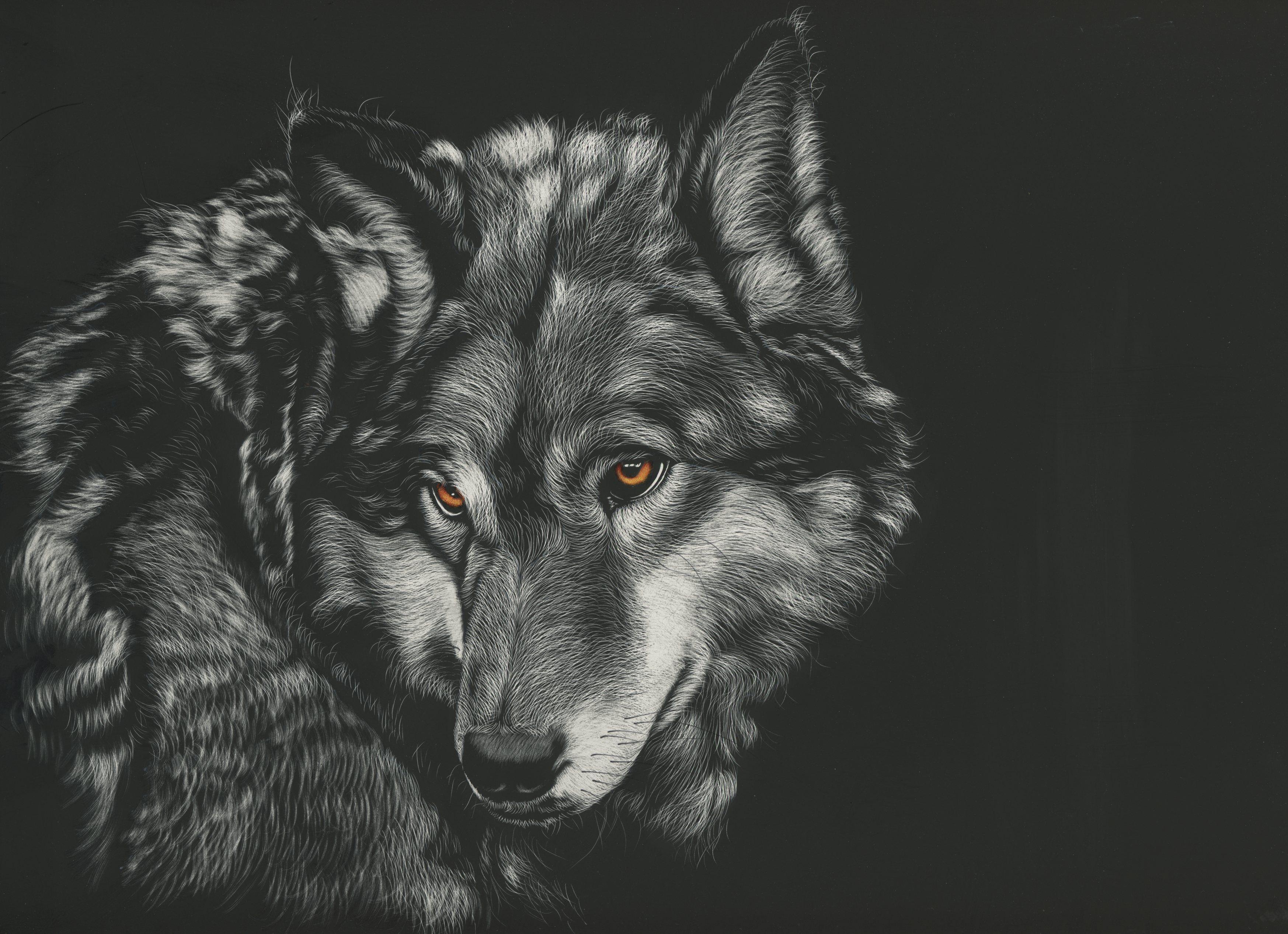 3494x2534 Photo Wolves Black and white Head animal Painting Art 3494x2534