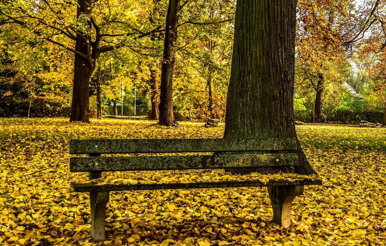 Park Bench Wallpapers - Top Free Park Bench Backgrounds - WallpaperAccess