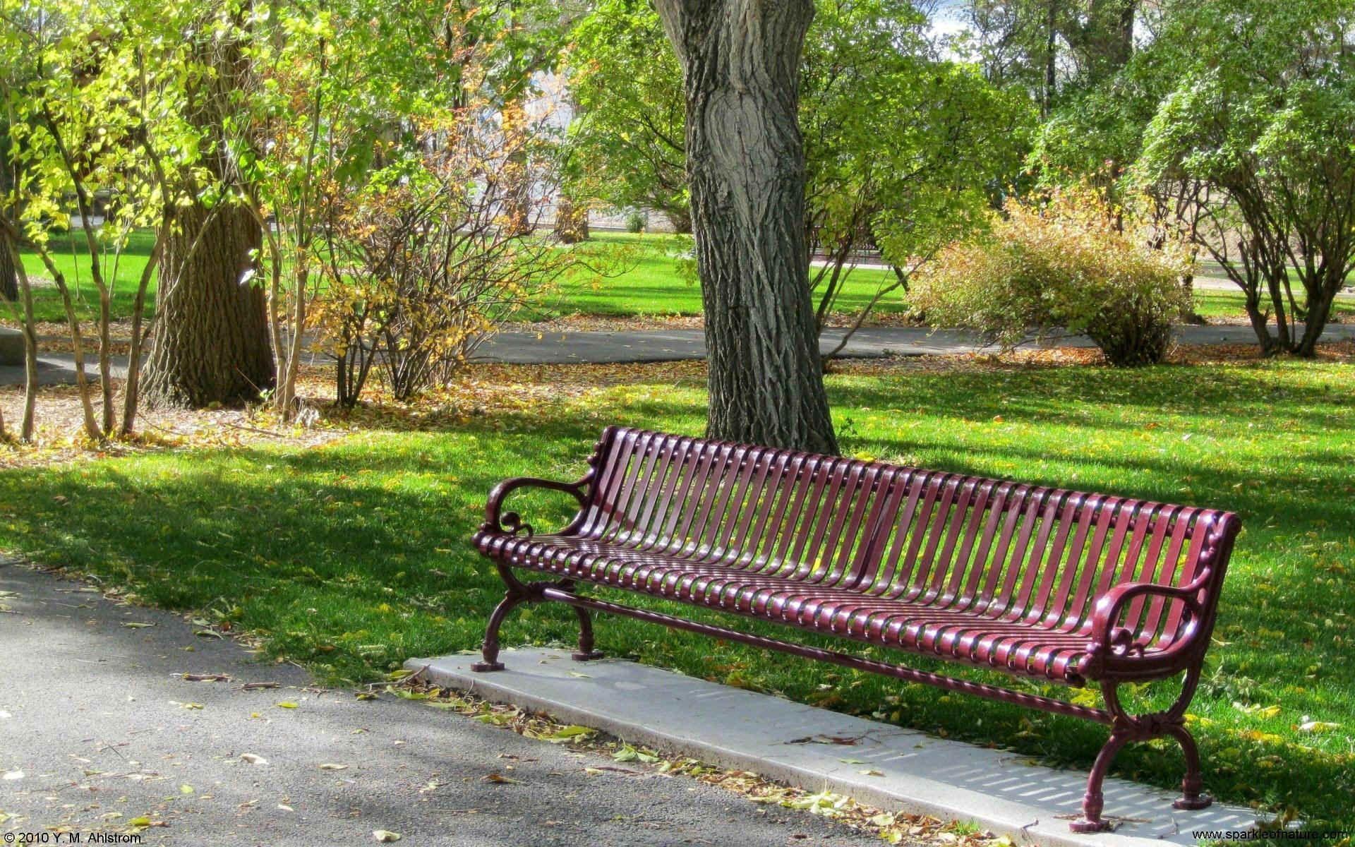 Park Bench Wallpapers Top Free Park Bench Backgrounds WallpaperAccess