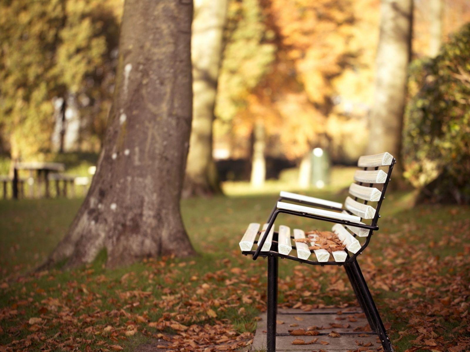 1600x1200 Park Bench s wallpaperx1200