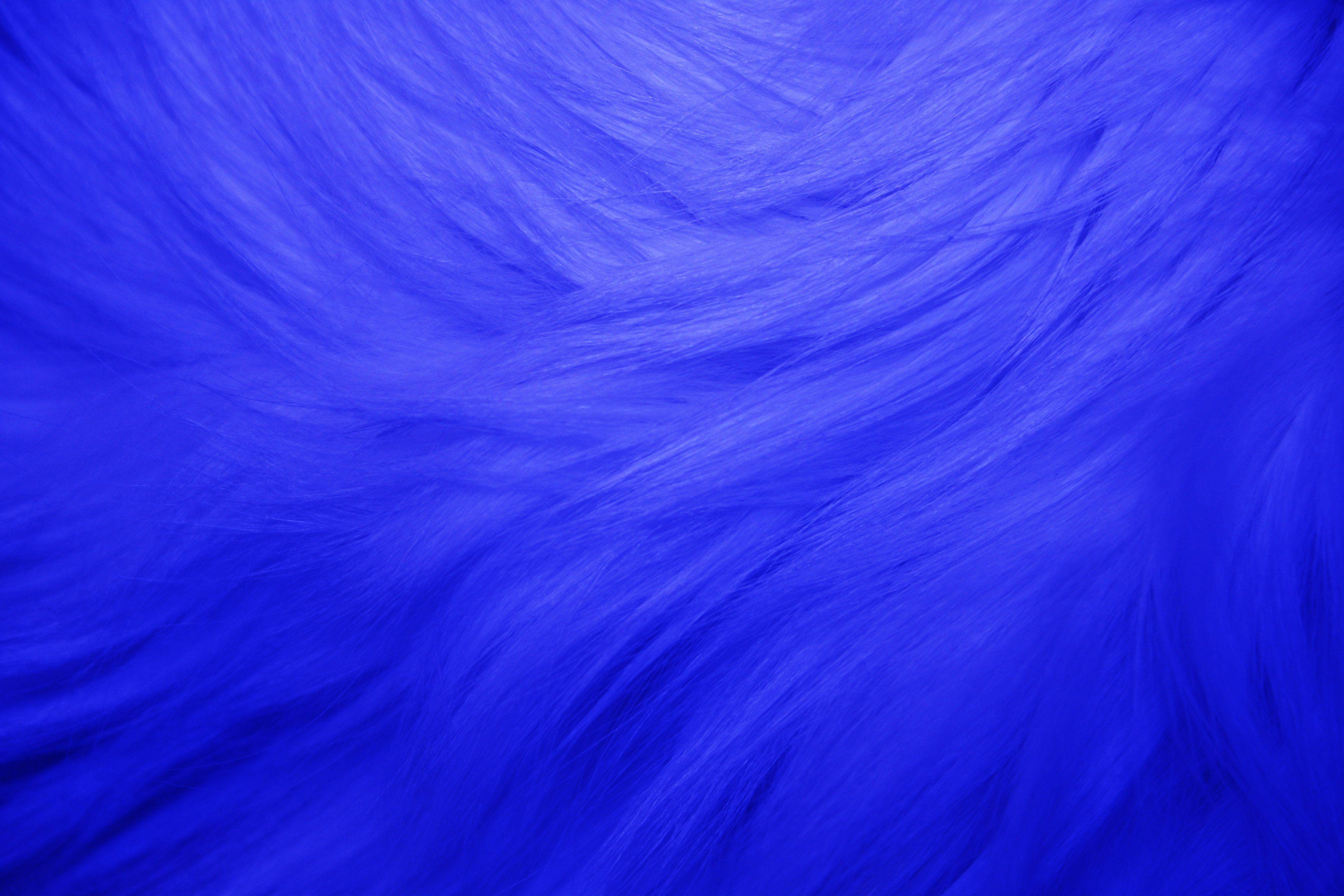3888x2592 Blue Fur Texture Picture. Free Photograph. Photo Public Domain