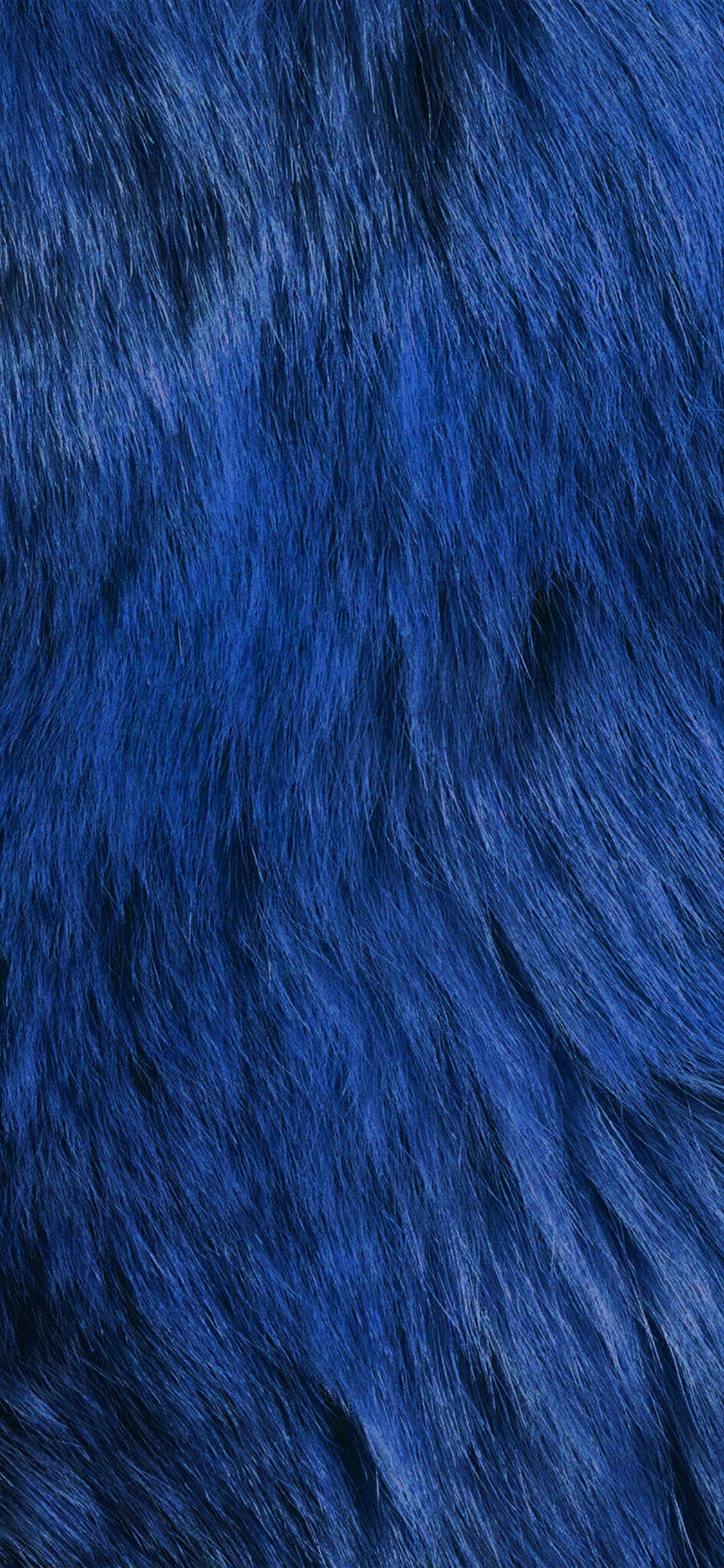 Blue Fur Wallpapers - Top Free Blue Fur Backgrounds - WallpaperAccess