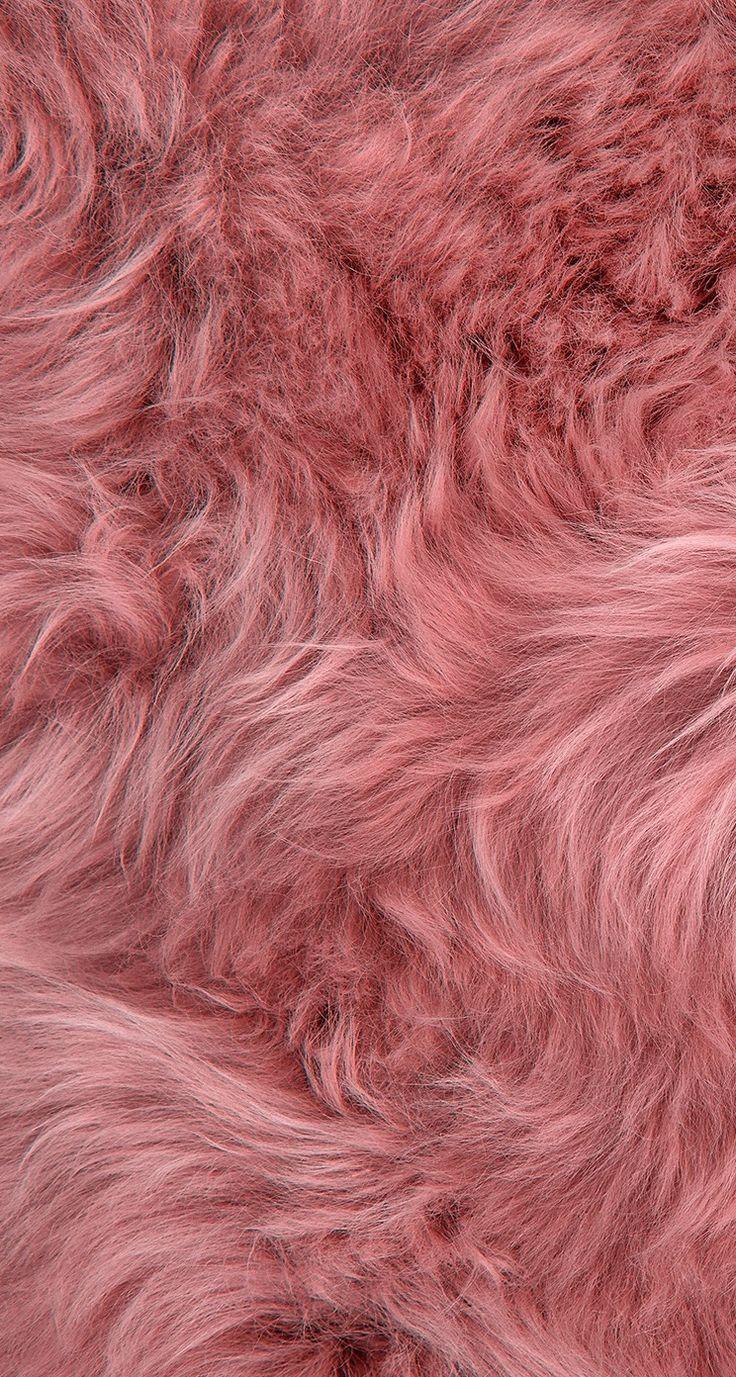 Fur iPhone Wallpapers - Top Free Fur