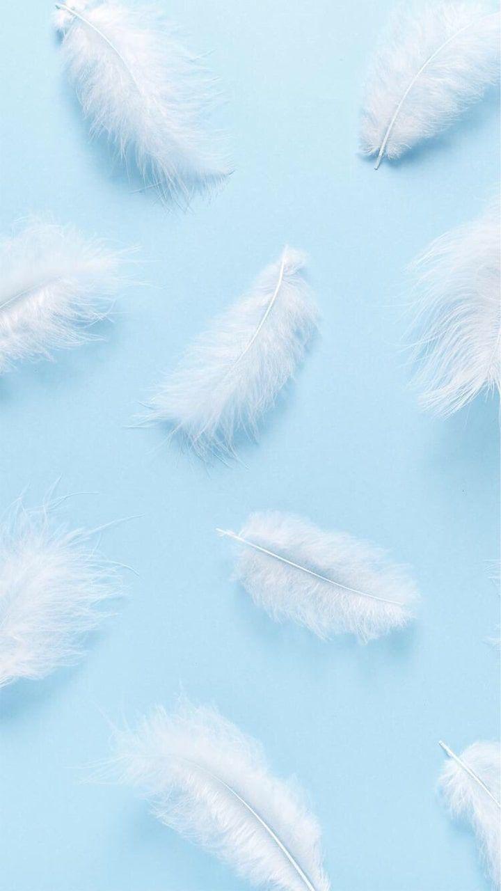 720x1280 baby blue shared