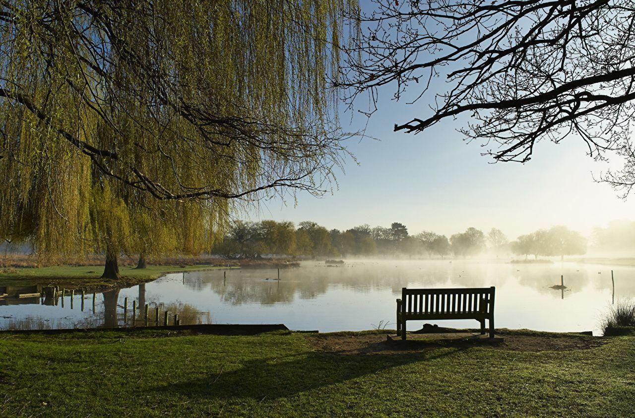 1280x843 Image Bushy Park Nature Pond Parks landscape photography Grass Bench