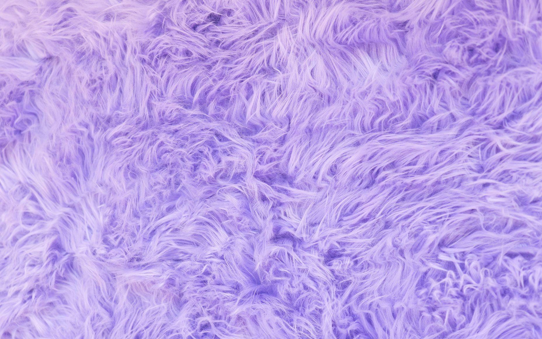 1856x1161 Fur Wallpaper Elegant ashley On Desktop Wallpaper In 2019 Of the Day of The Hudson
