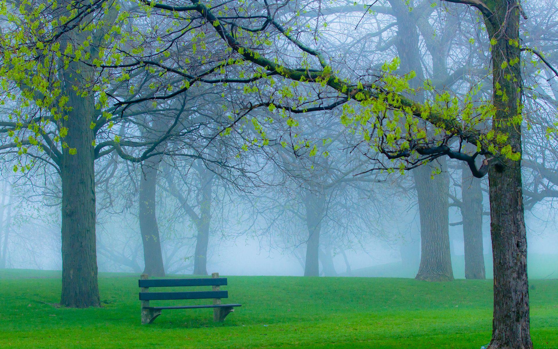 Park Bench Wallpapers - Top Free Park Bench Backgrounds - WallpaperAccess