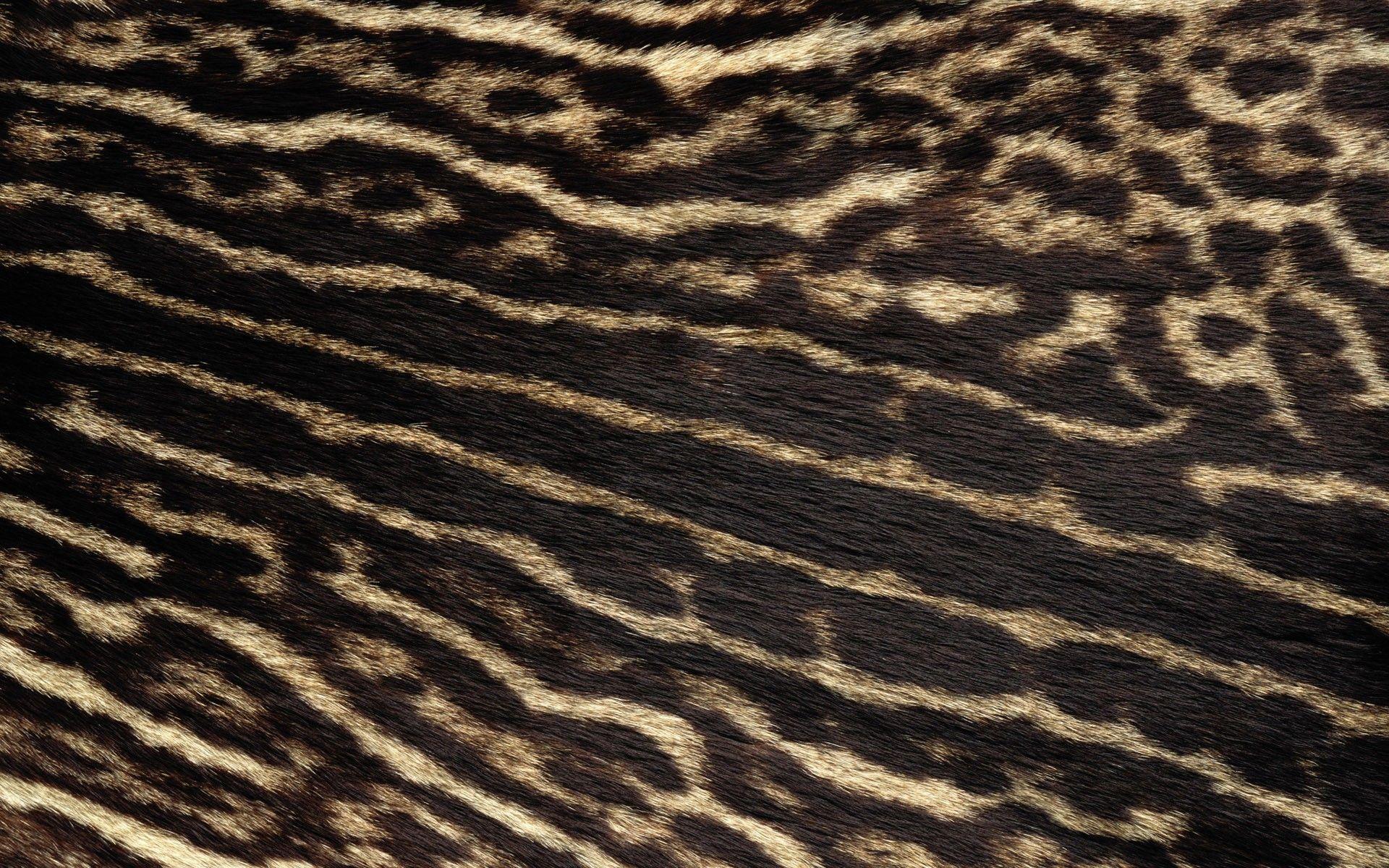 1920x1200 Fur Wallpaper