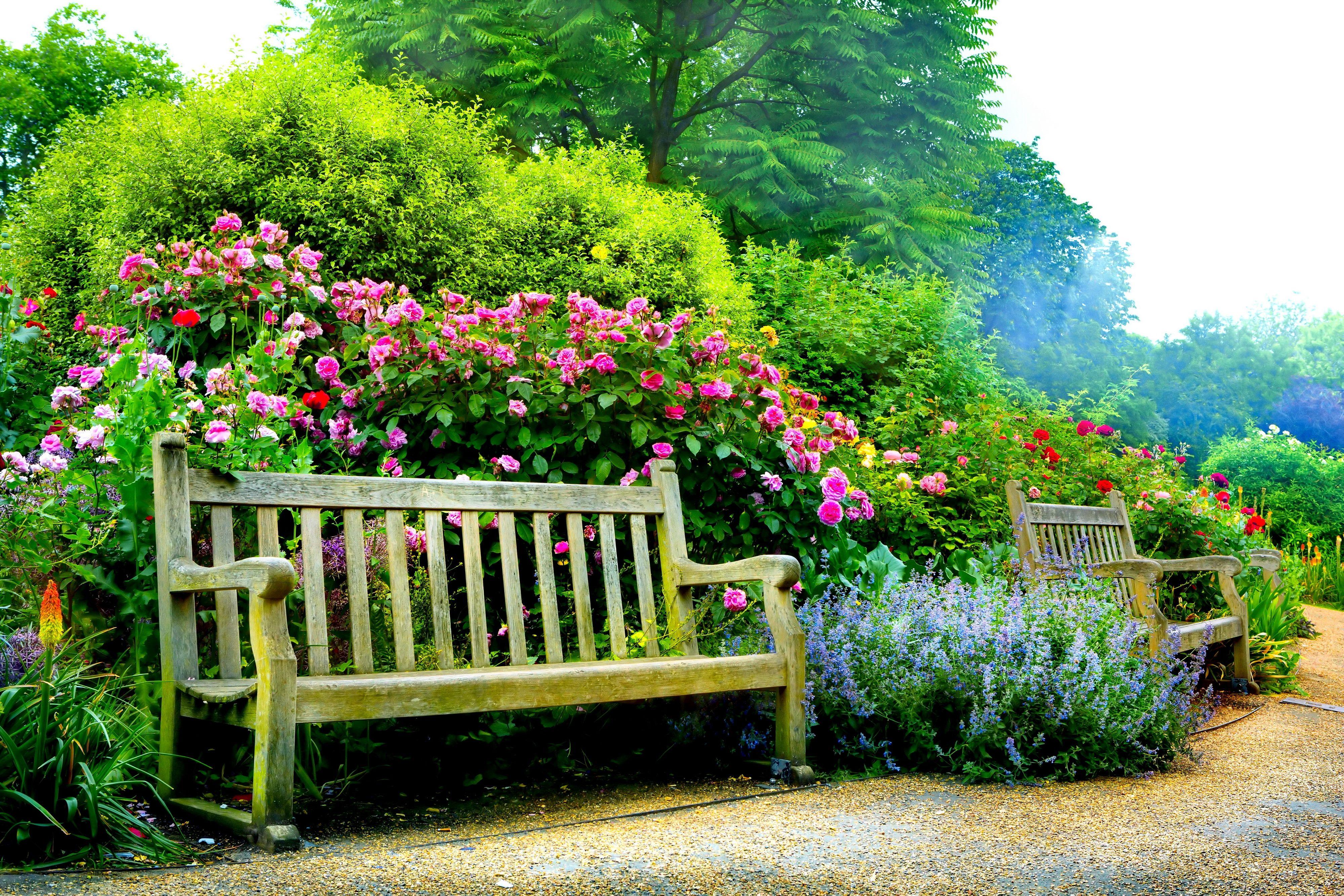 3999x2666 Park Benches in Spring Wallpaper. Benches Wallpaper, Park Benches in Spring Wallpaper and Benches Ponds Wallpaper