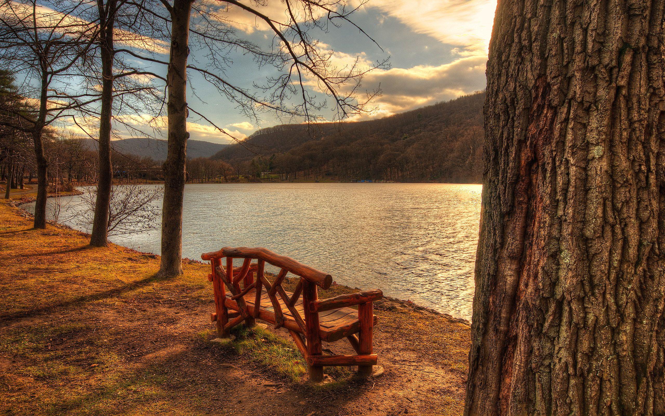 2560x1600 Lakeside park bench