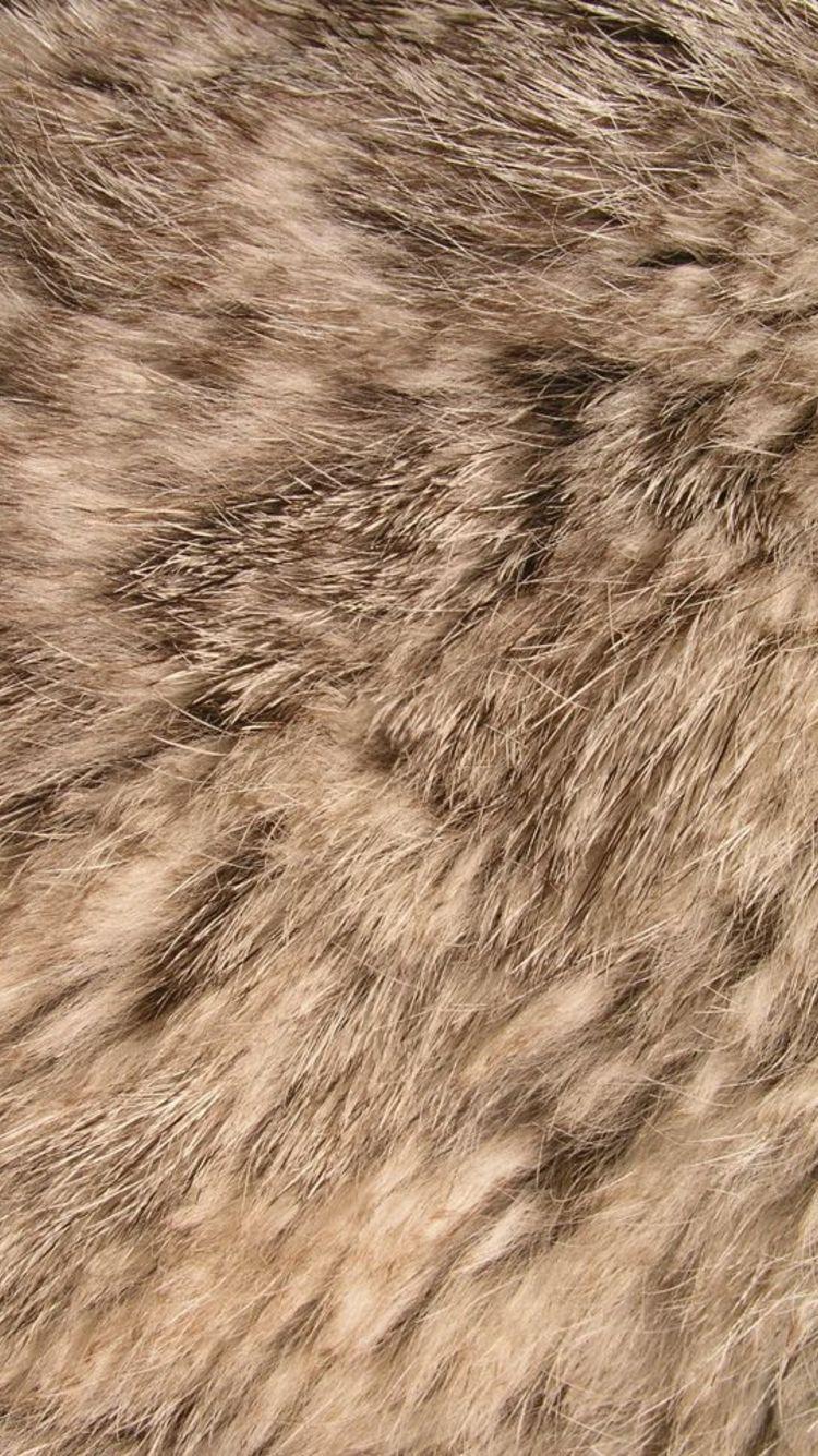 750x1335 Free Live Wallpaper For Android Phones. Free live wallpaper, Wallpaper fur, Wallpaper