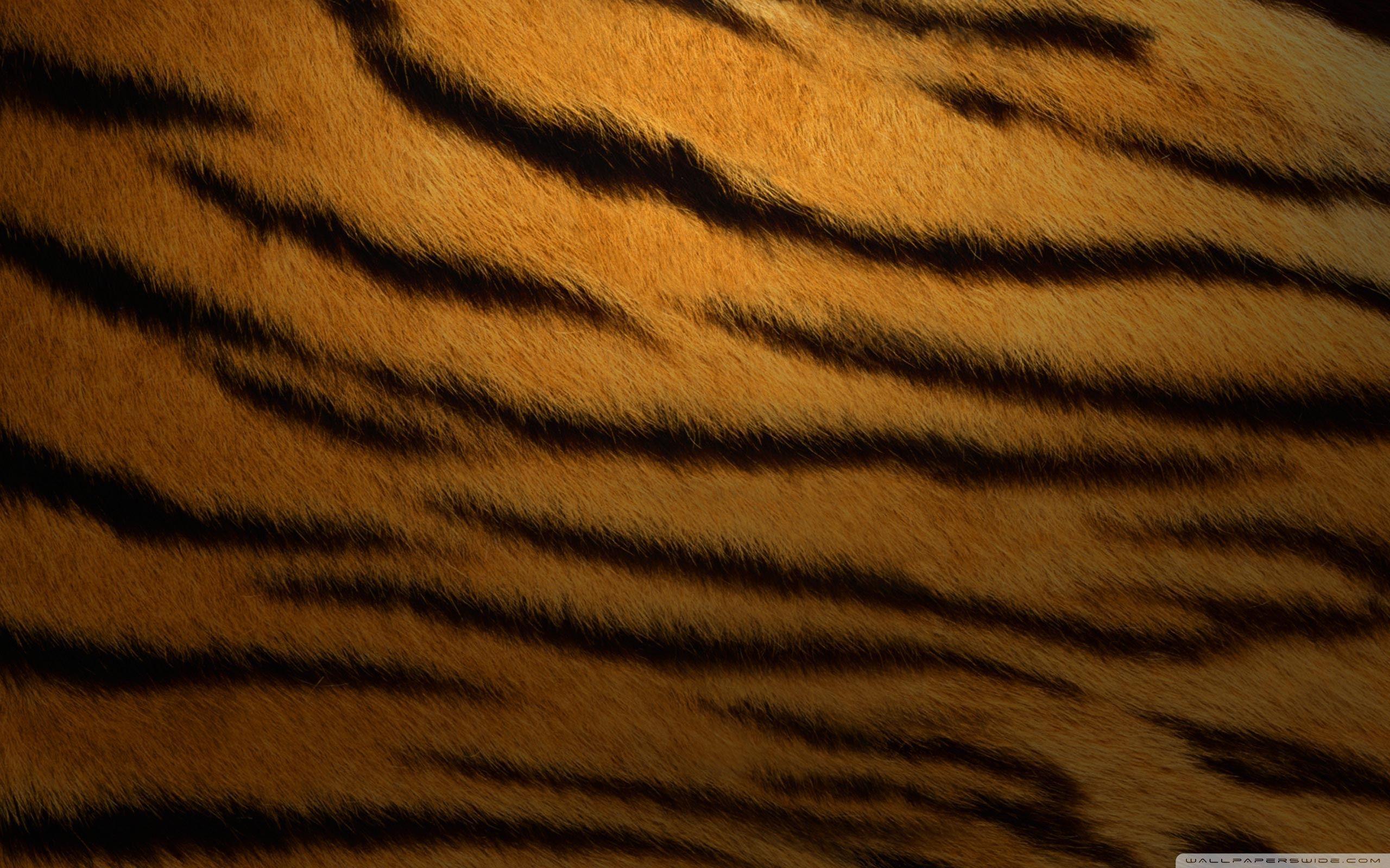 2560x1600 Desktop Wallpaper Fur