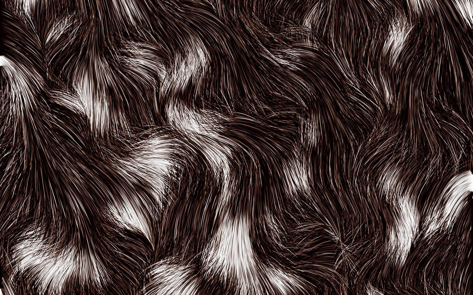 1920x1200 Download Wallpaper Wavy Fur Texture, Close Up, Animal Fur, Brown Fur Texture, Wool Textures, Wool Wavy Background, Brown Fur, Brown Fur Background, Macro, Brown Background, Brown Wool Texture, Fur Textures For Desktop With