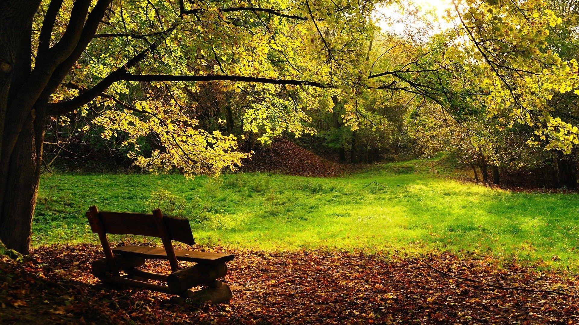 1920x1080 Wallpaper, autumn, park, bench, waterfall