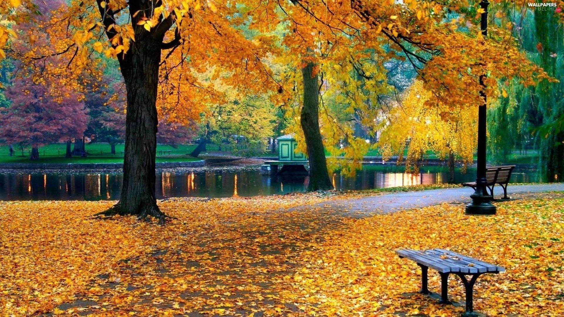 1920x1080 autumn, Bench, Park, River HD Wallpaper: 1920x1080