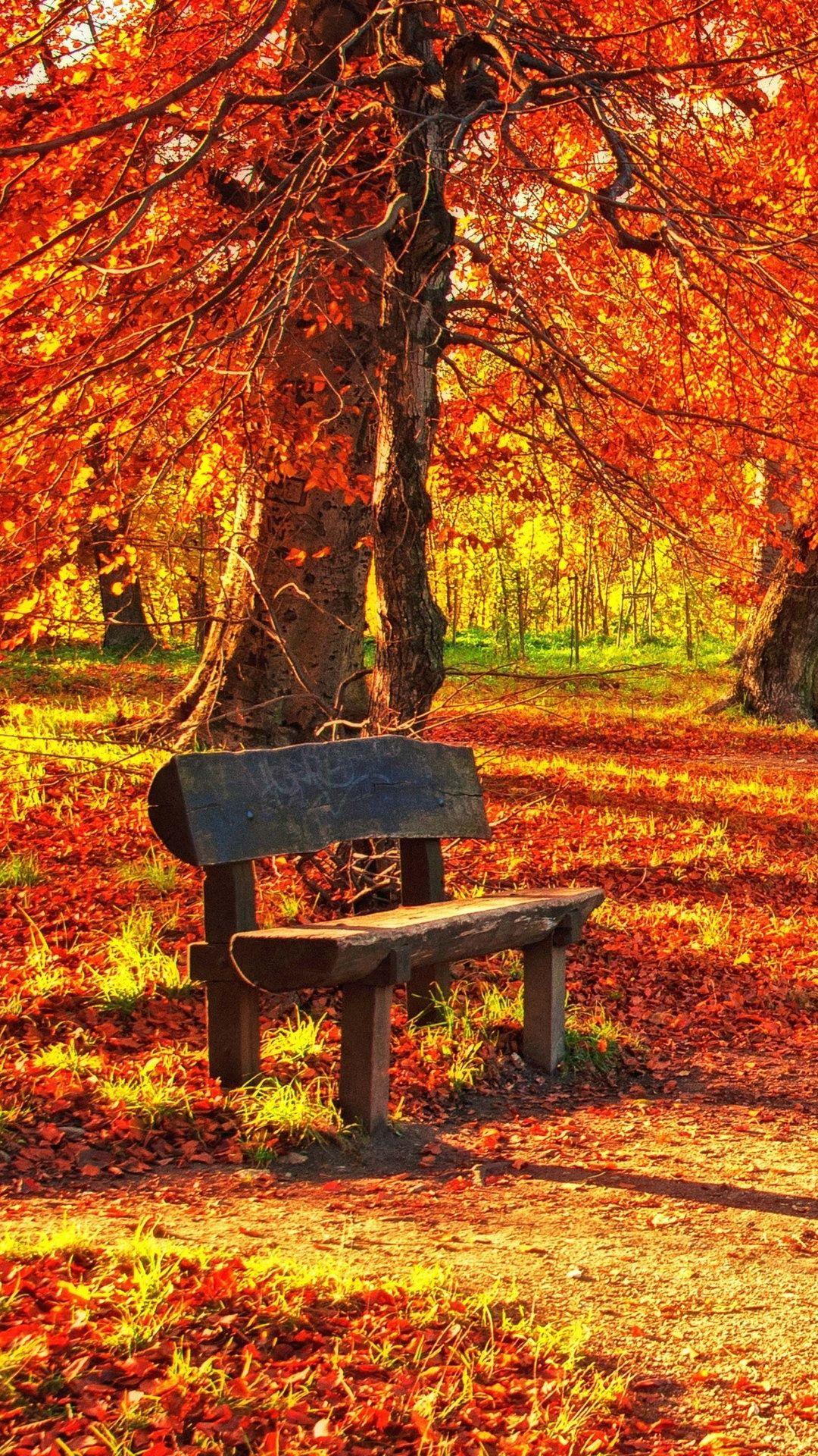 1080x1920 Bench Autumn Park Wallpaper - [1080x1920]