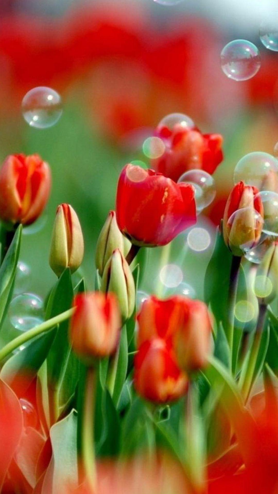 1080x1920 High Quality Samsung Galaxy Flower Wallpaper