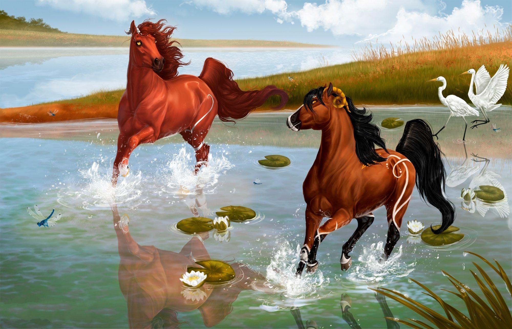 2000x1286 spirit, Stallion, Of, The, Cimarron, Cartoons, Fantasy, Horses, Birds, Lakes, Reflection Wallpaper HD / Desktop and Mobile Background