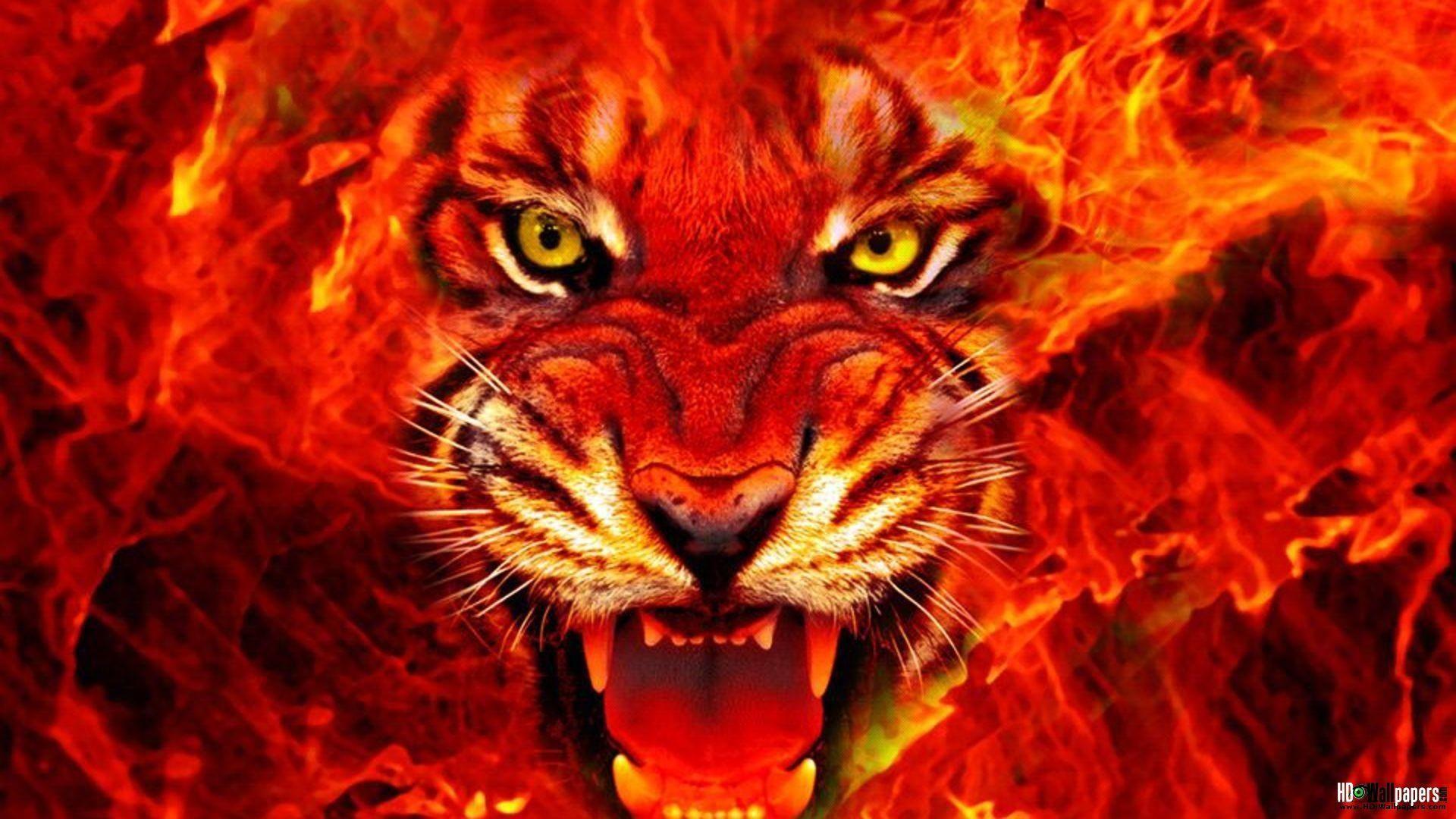 1920x1080 Fire Tiger Live Wallpaper for Samsung & iPhone. HD Wallpaper