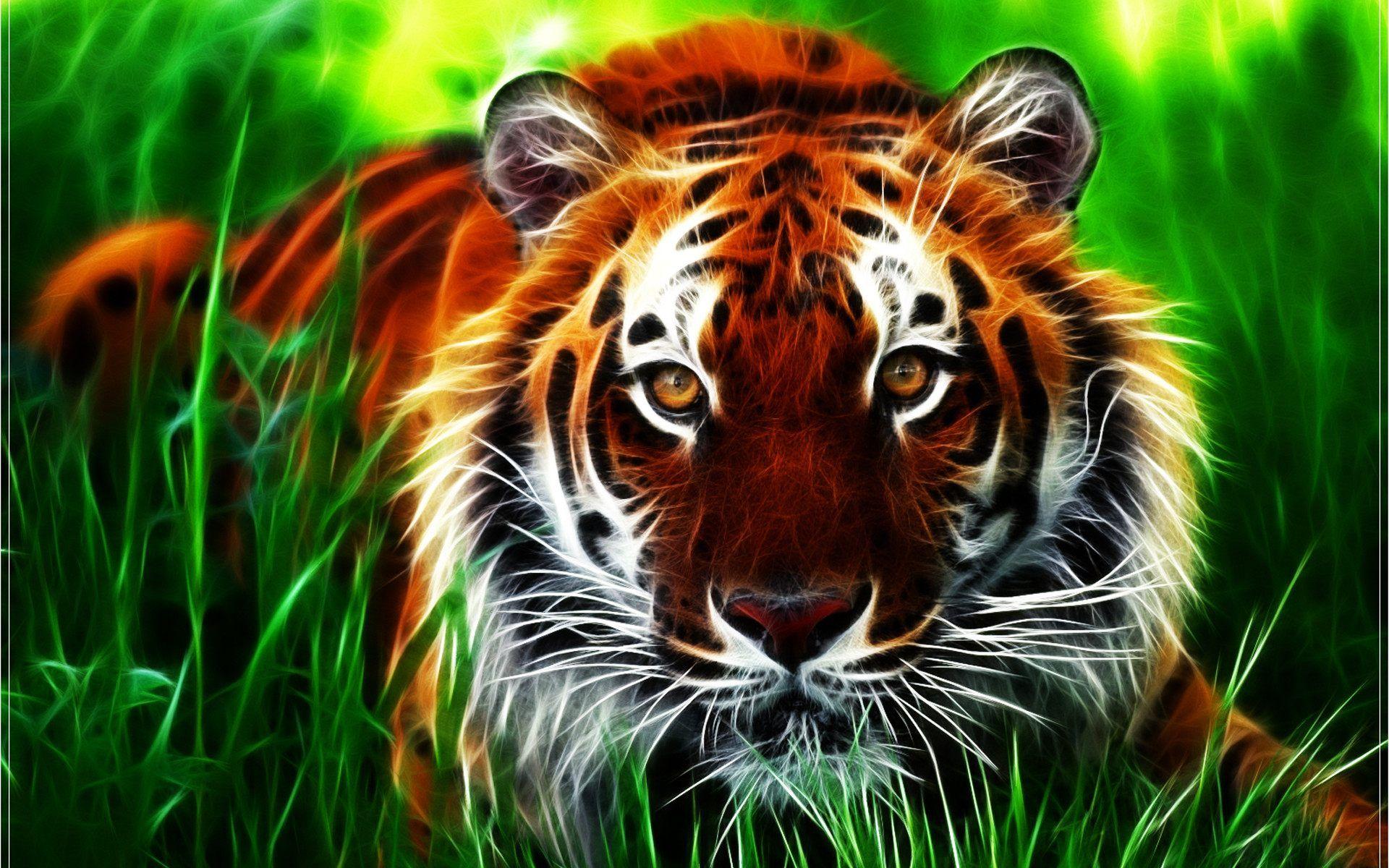 1920x1200 Tiger face wallpaper
