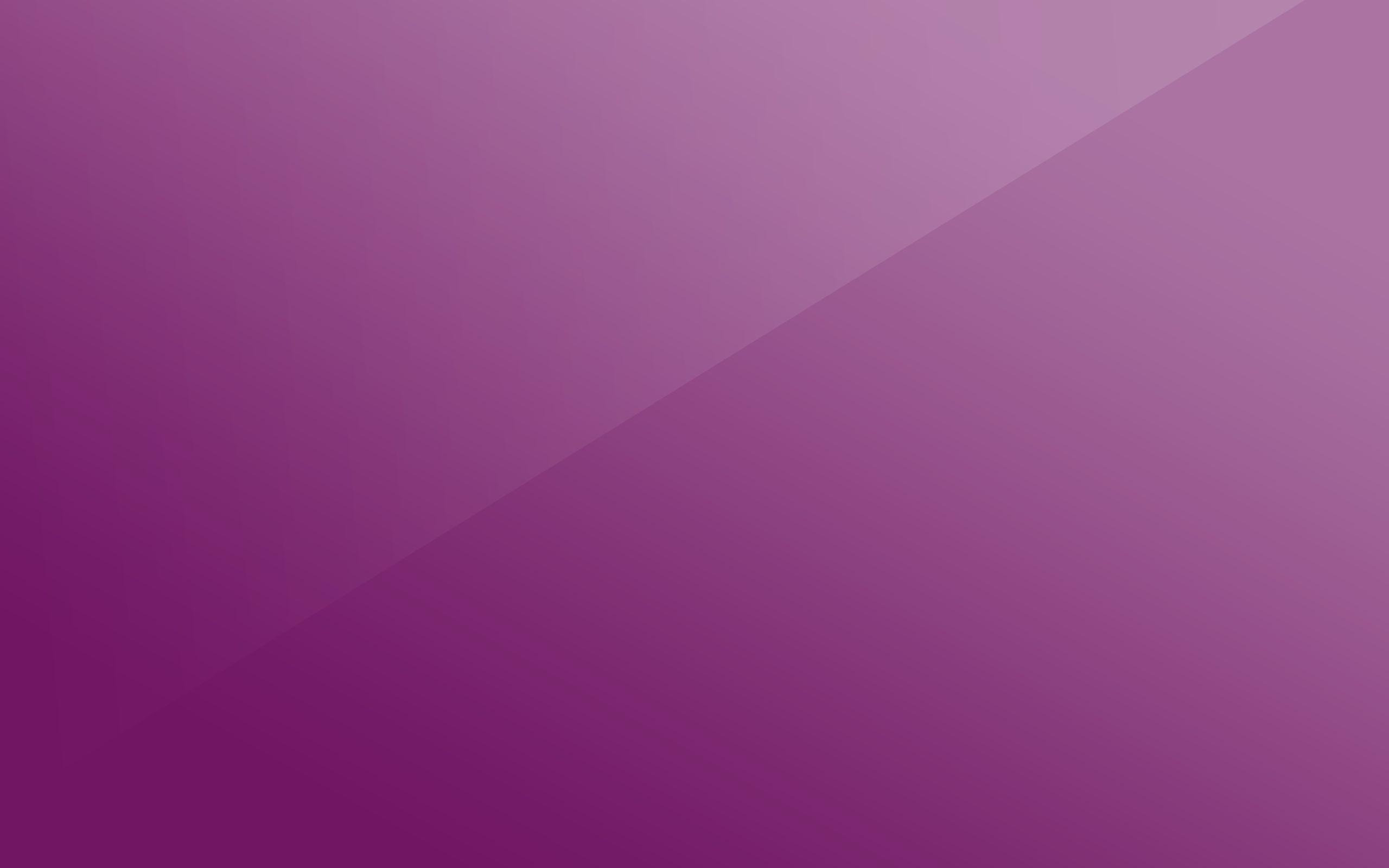 Hình nền màu tím nhạt 2560x1600