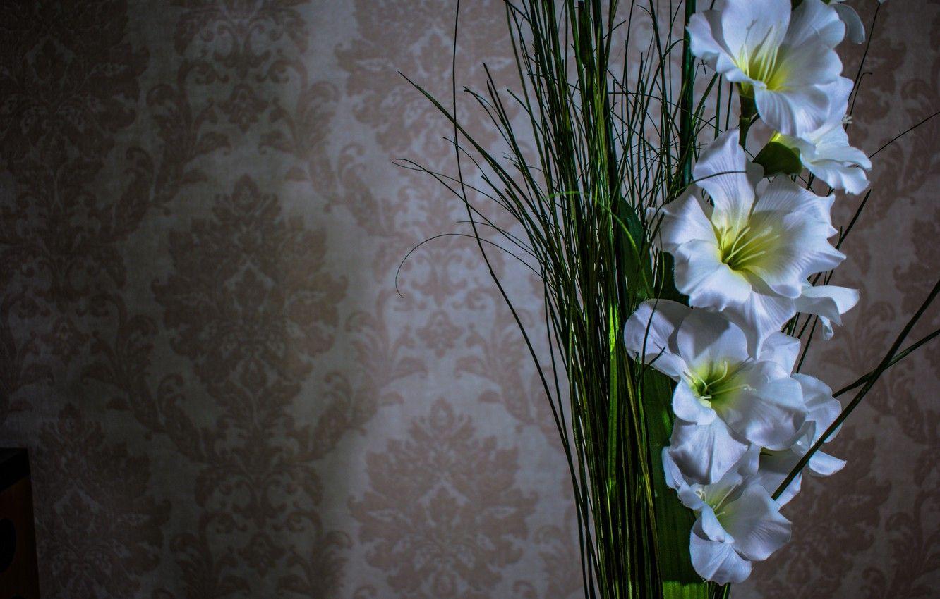 1332x850 Wallpaper flowers, white, gladiolus image for desktop, section цветы