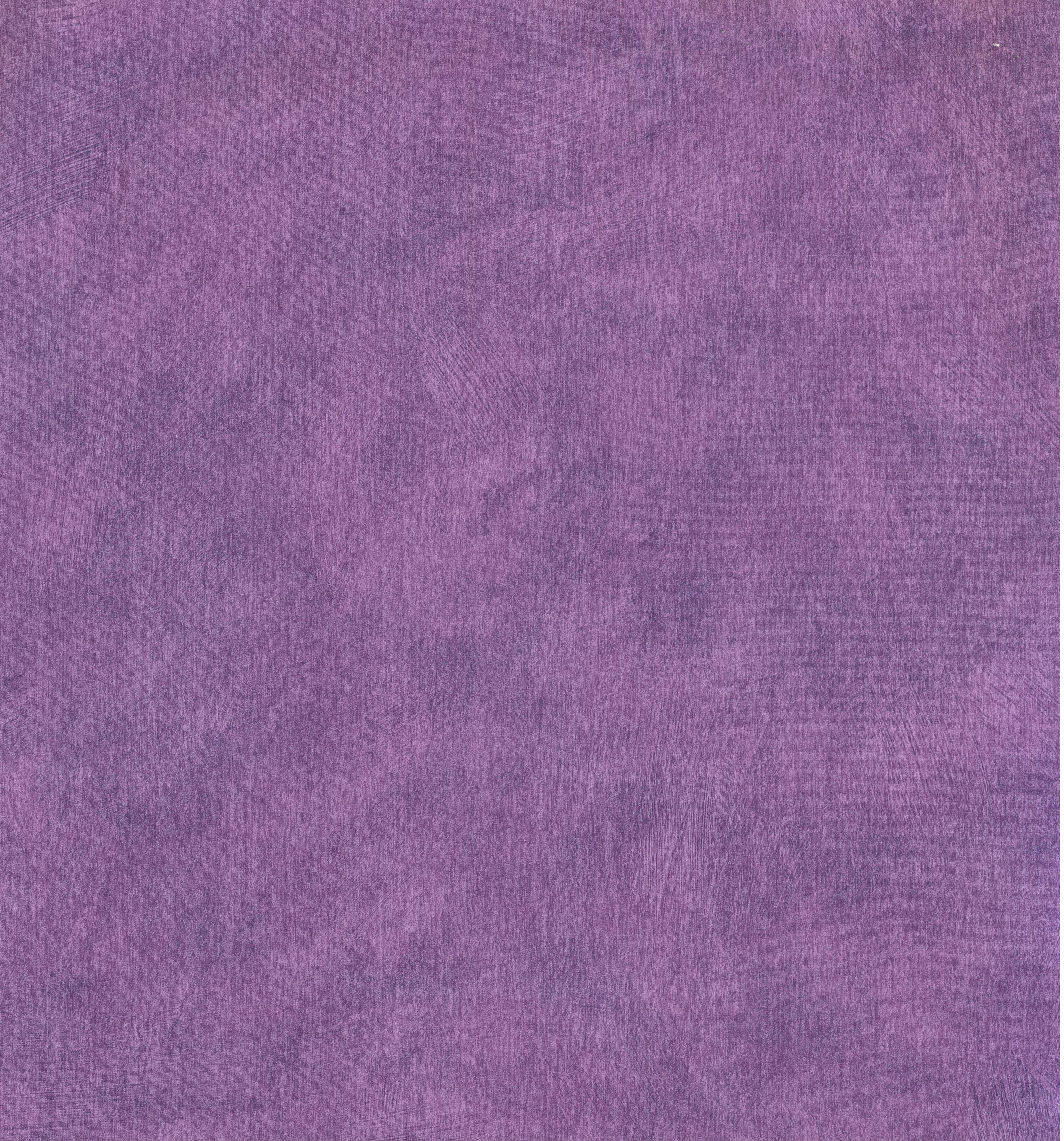 RẮN 3598x3858 - Mẫu giấy dán tường màu tím violet hiện đại được chuẩn bị sẵn.  Walmart Canada