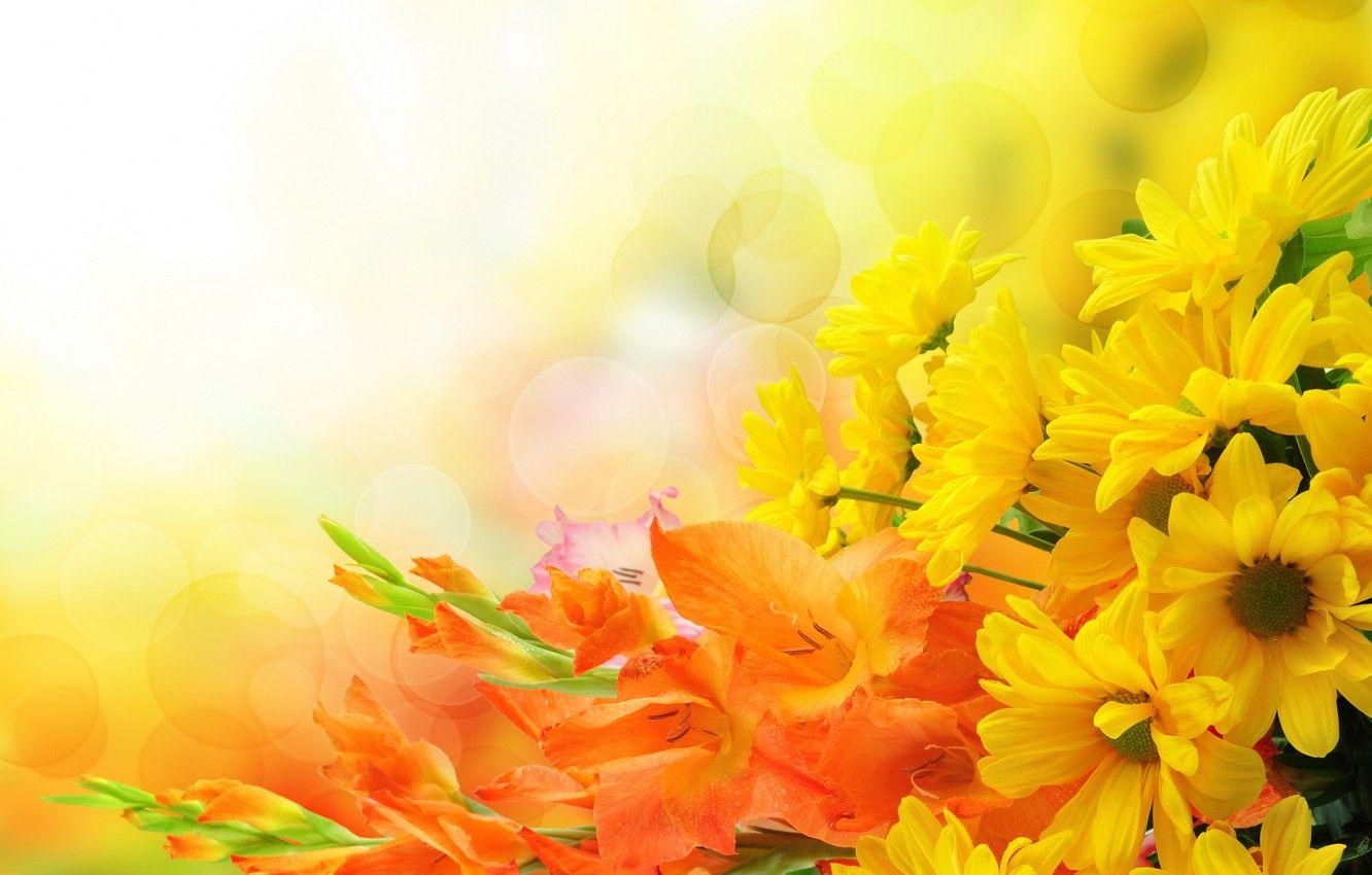 1332x850 Wallpaper flowers, bouquet, chrysanthemum, flowers, bouquet, gladiolus, chrysanthemums, gladioli image for desktop, section цветы