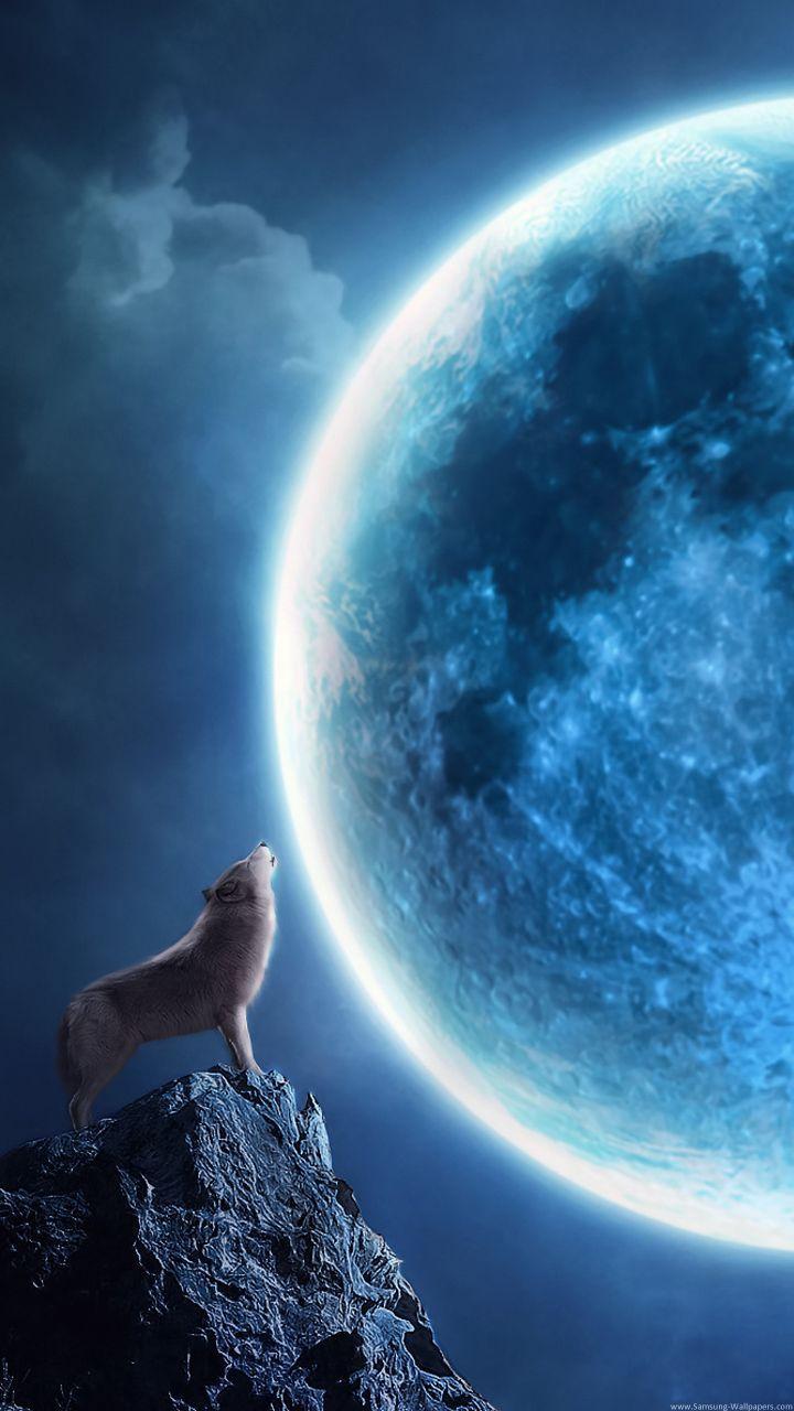 720x1280 Outer Space Lock Screen Samsung Galaxy S Wallpaper 1440×1280 Galaxy S3 Space Wallpaper (50 Wallpaper). Adorable Wa. Wolf wallpaper, Wolf picture, Galaxy wolf