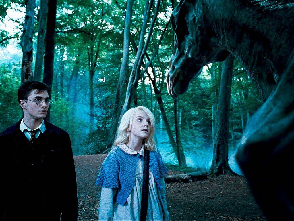 1024x768 Shelter from the Storm: Luna Lovegood