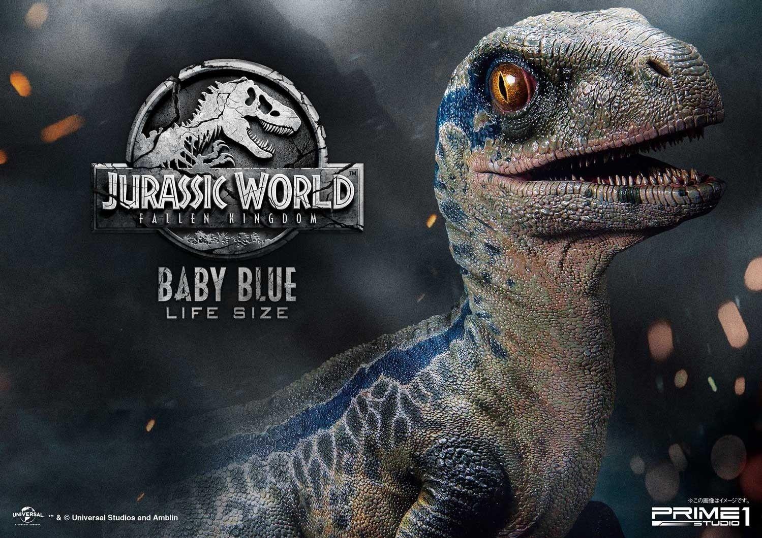 1499x1060 Blue The Velociraptor Wallpaper