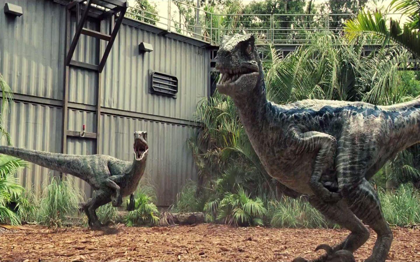 1440x900 Jurassic World Fallen Kingdom Blue Velociraptor Hình nền HD